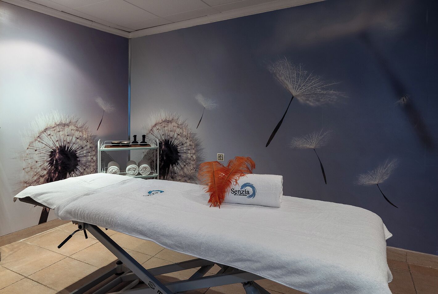 Una stanza per trattamenti estetici con un lettino da massaggio, uno scaffale con flaconi e una parete decorata con illustrazioni di tarassaci.