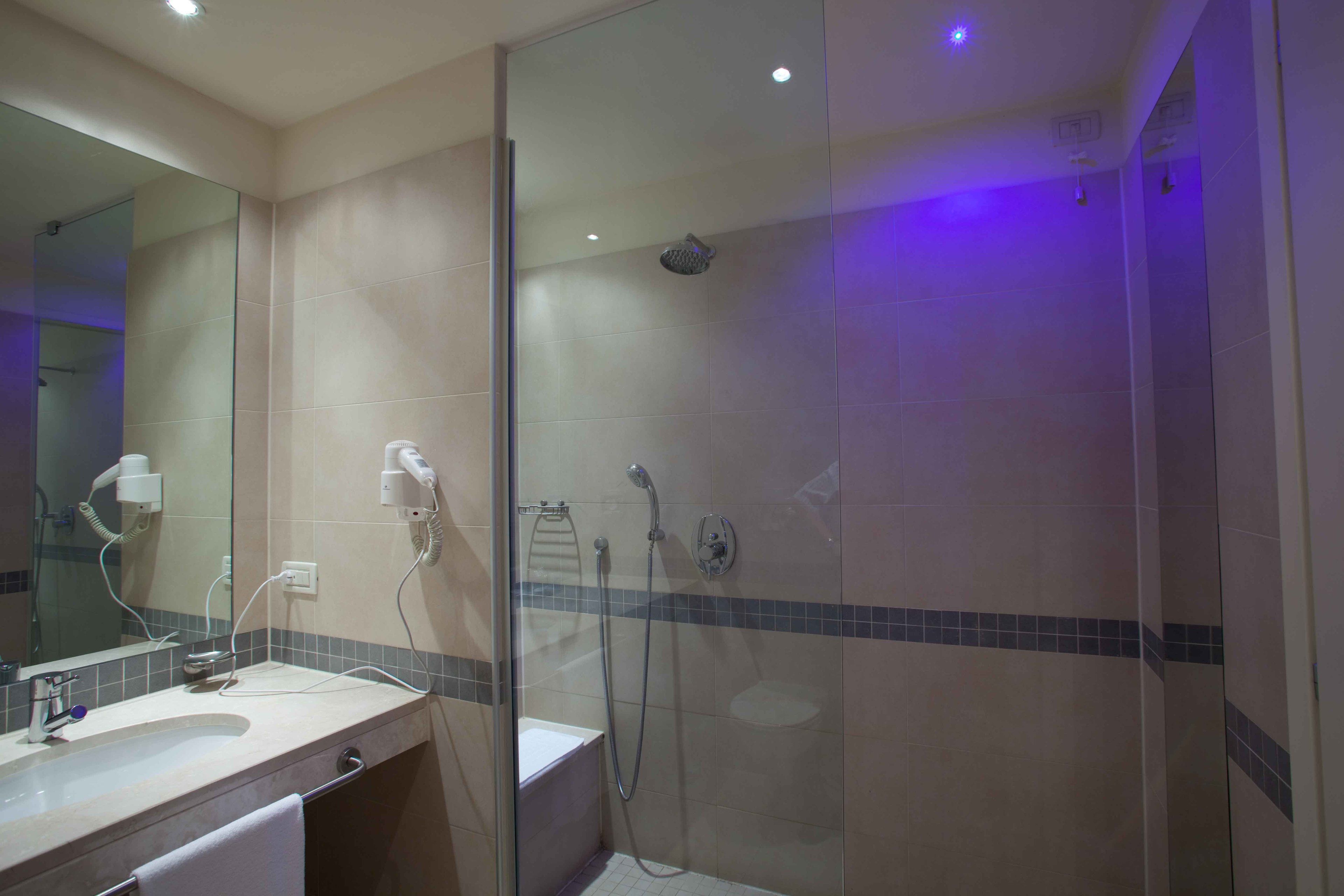 shower, free toiletries, hair dryer, bidet