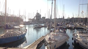 A marina with multiple boats docked, a clear sky, and a building in the background.
