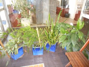内部细节