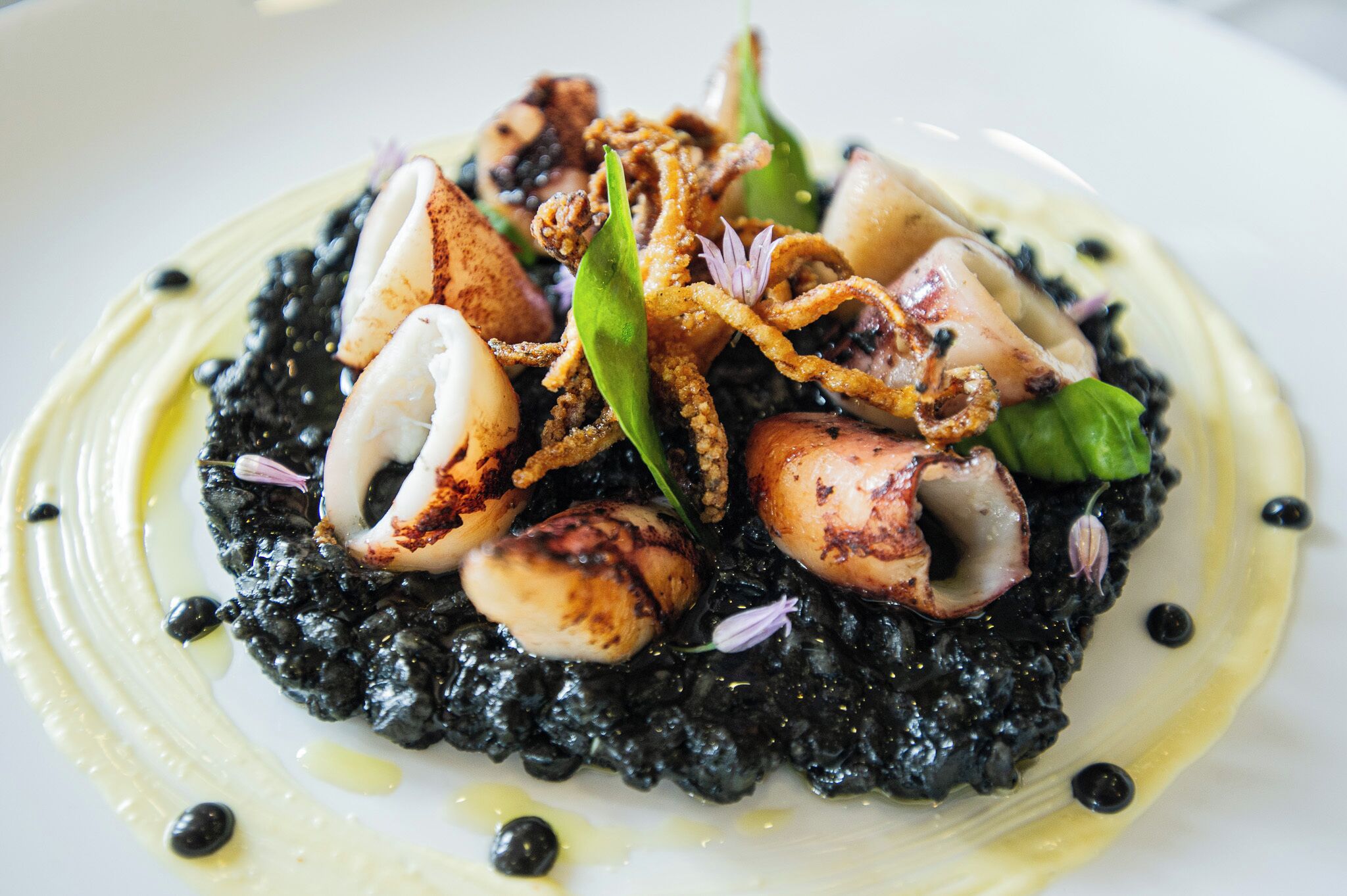 Une assiette de nourriture comprenant des calamars, des légumes verts et un risotto noir.