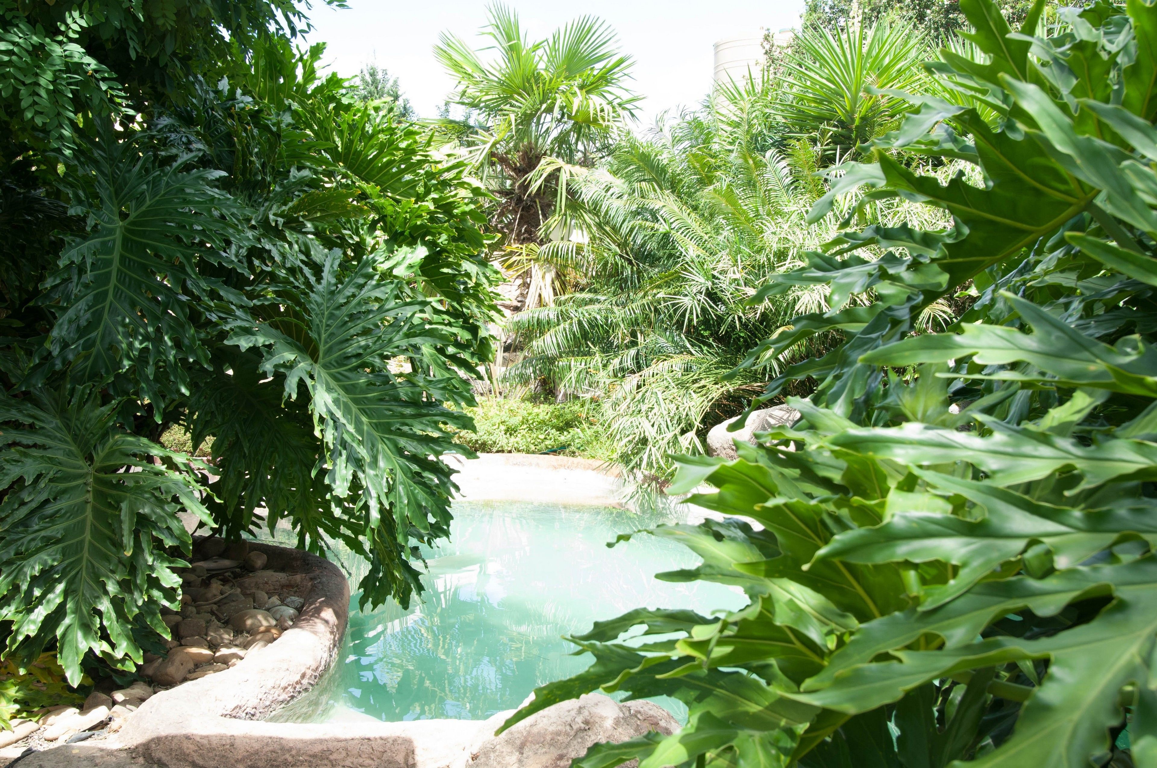 Piscina all'aperto