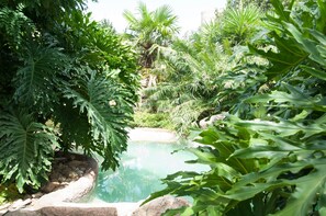 Piscina a l'aire lliure 