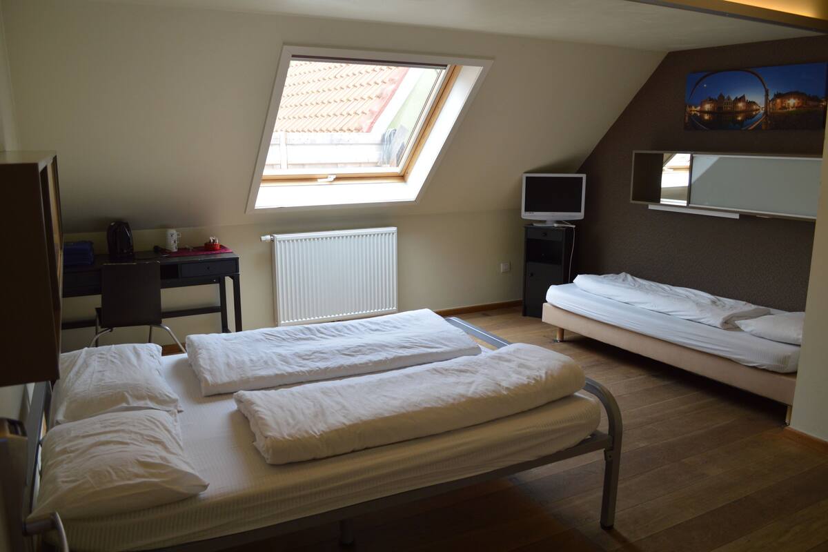 Een kamer met twee bedden, een bureau, een stoel, een televisie en een dakraam.