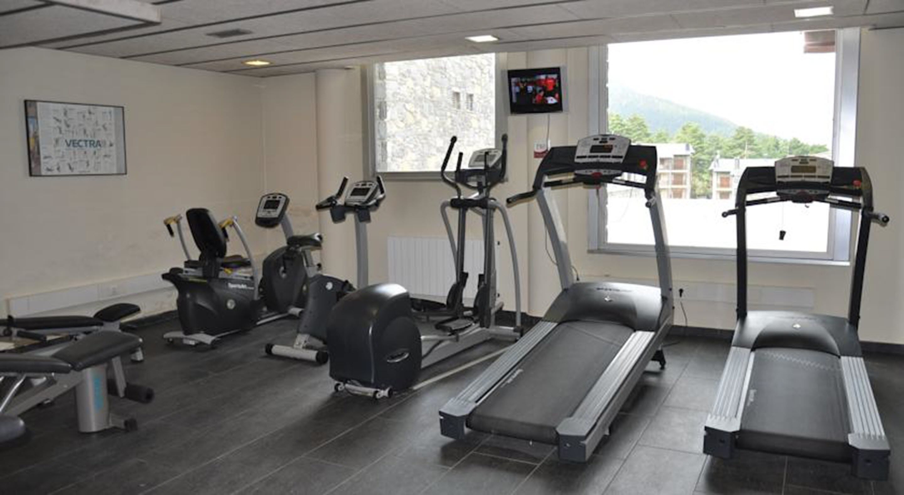 A gym with treadmills, elliptical machines, and a bench.