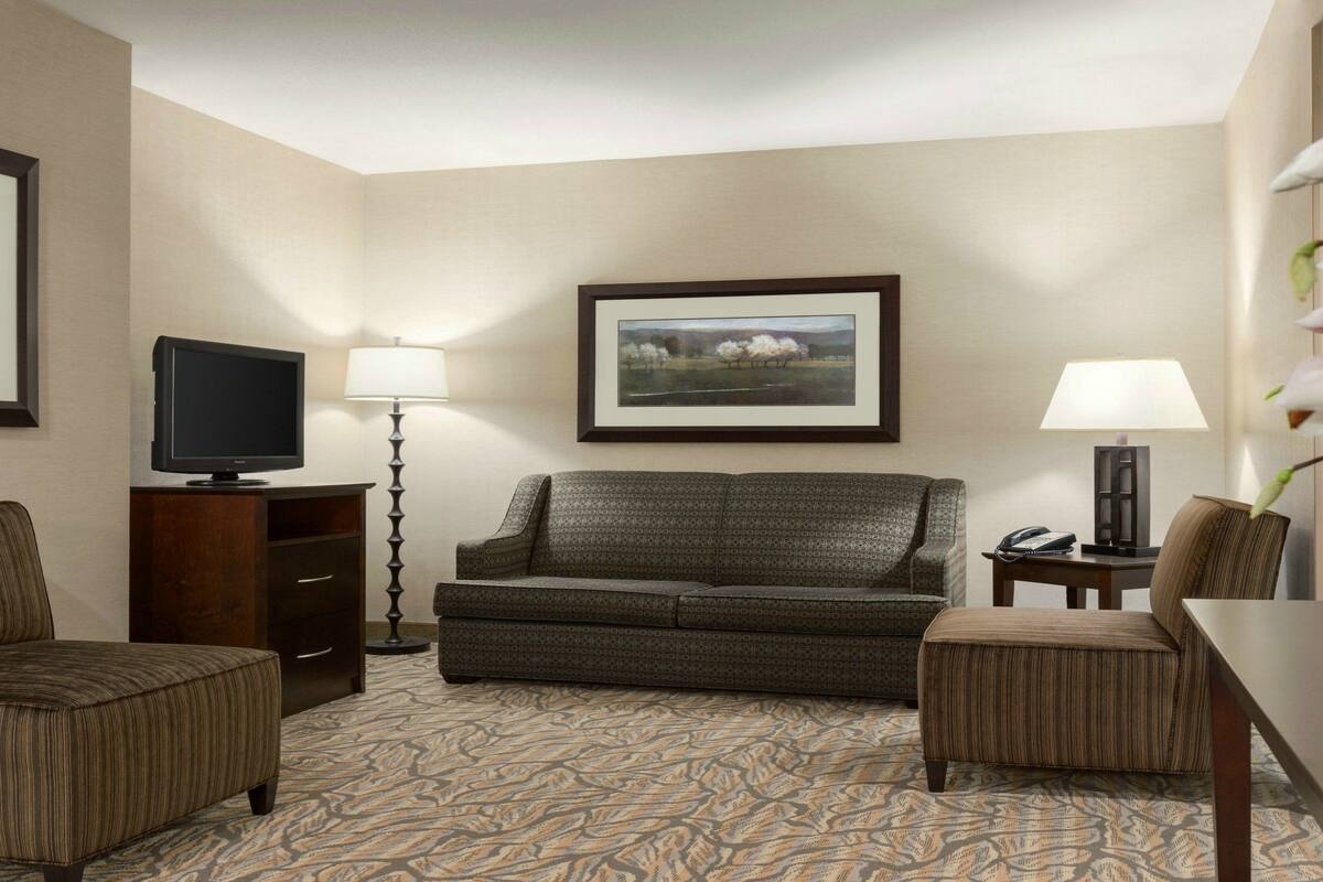 Een hotelkamer met een bank, fauteuil, televisie, lamp en een lijstje aan de muur.