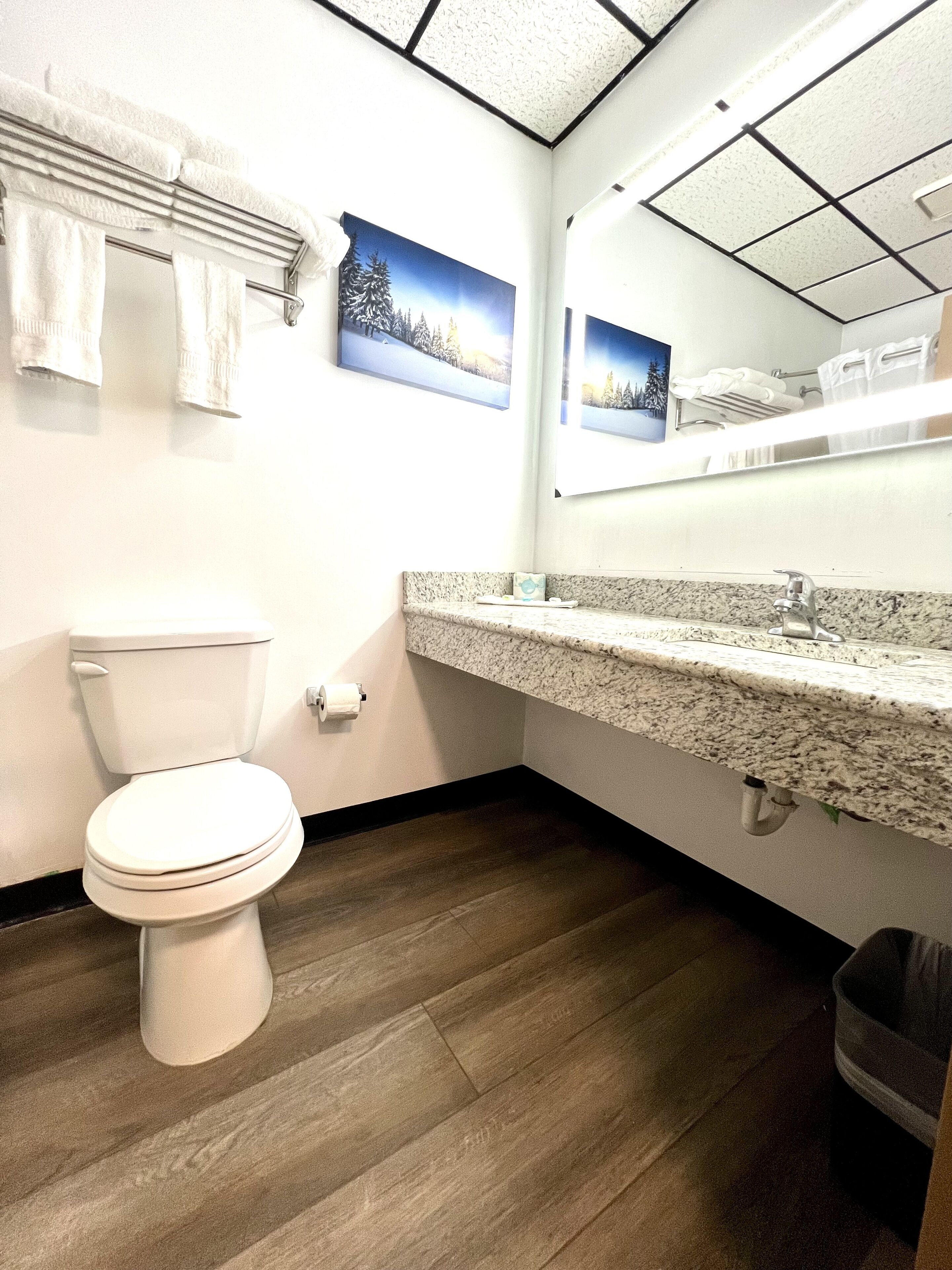 A bathroom with a toilet, a granite countertop, and two framed pictures on the wall.