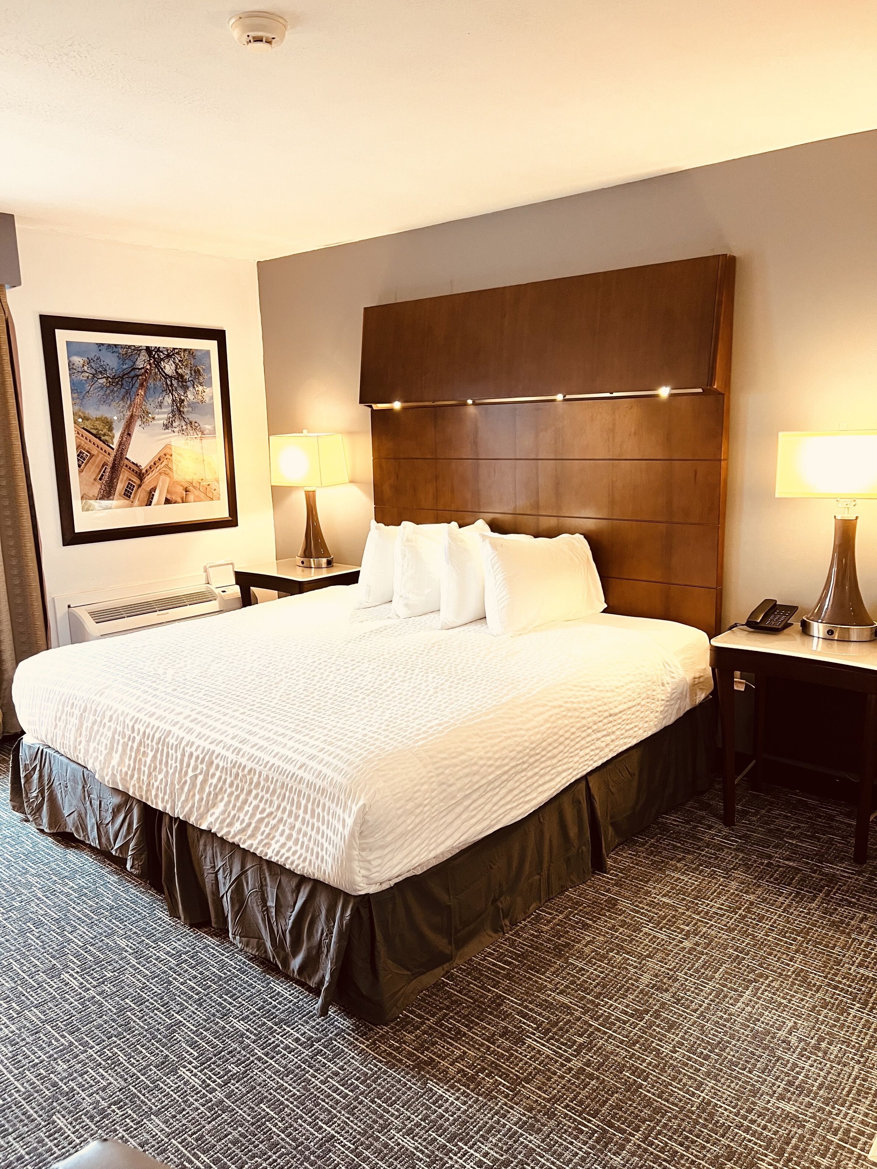 Standard Room, 1 King Bed, Non Smoking, Kitchenette | Desk, laptop workspace, free WiFi, bed sheets