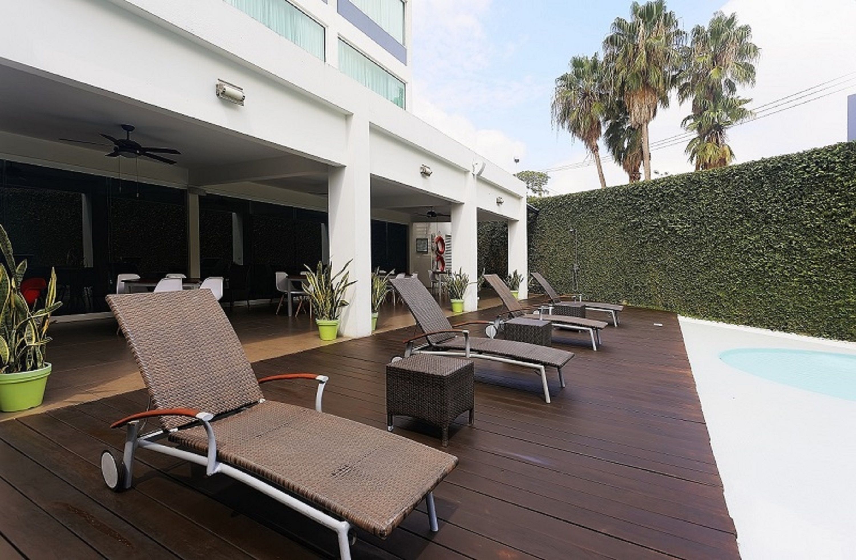 Terraza