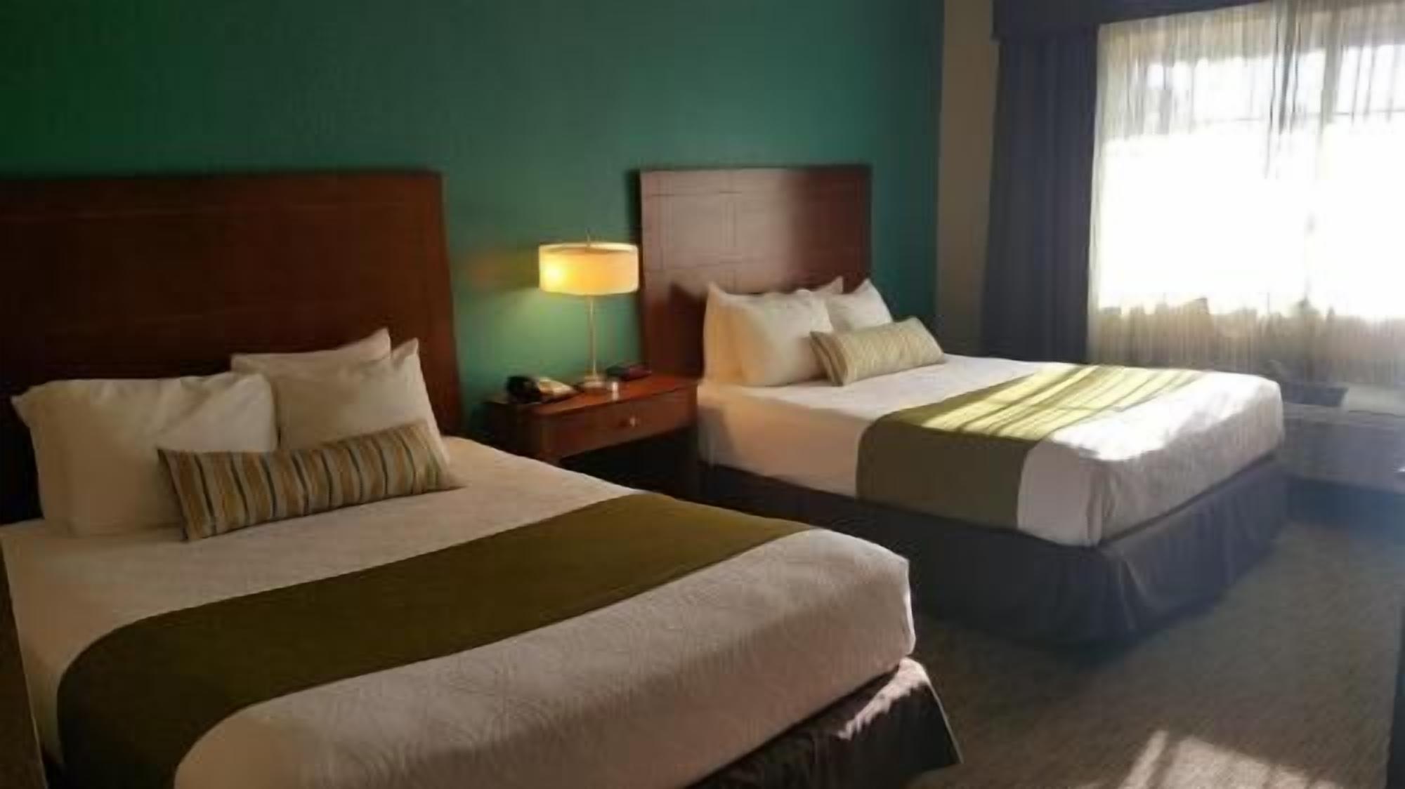 1 bedroom, premium bedding, desk, blackout drapes