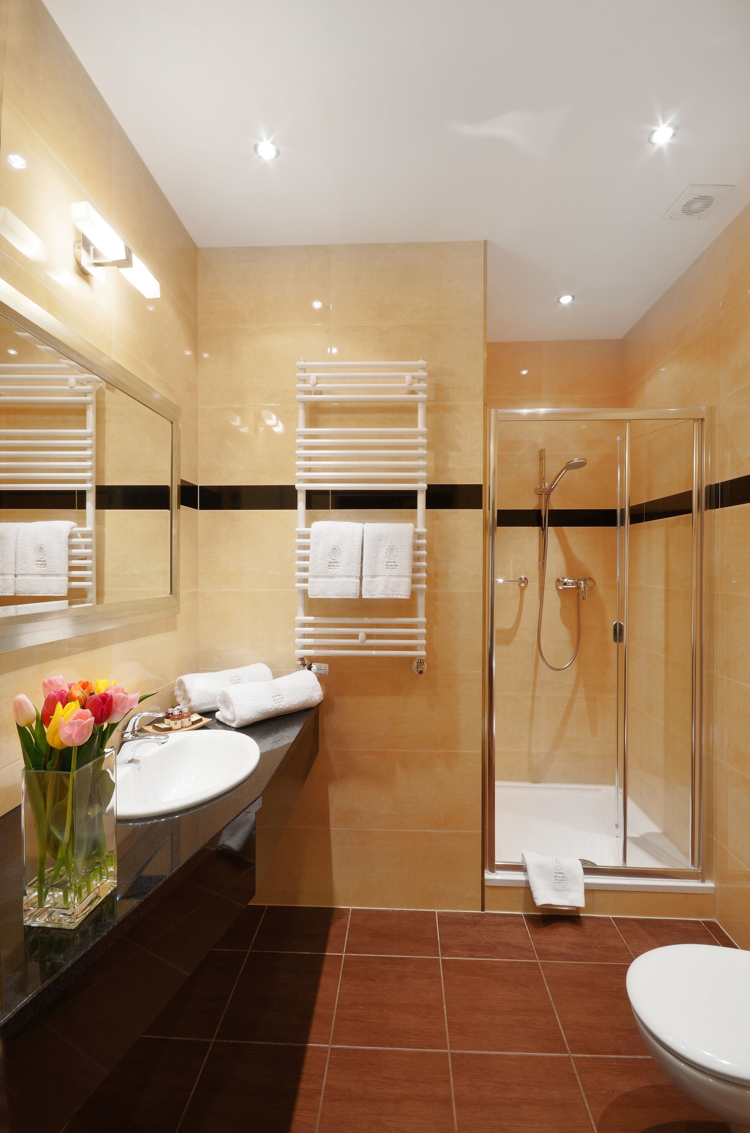 free toiletries, hair dryer, towels