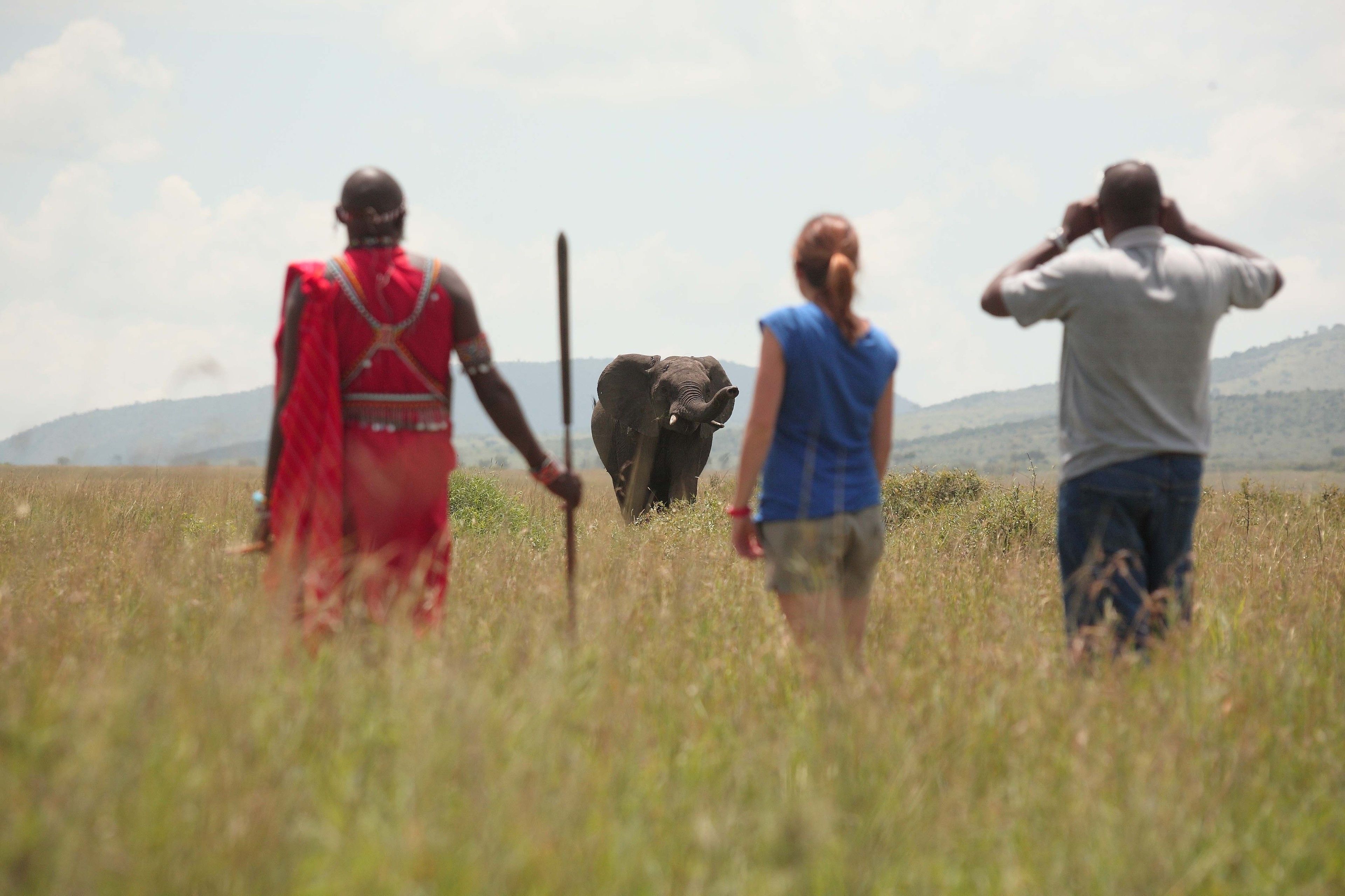 A person in red traditional attire walking with an elephant in a grassy field.