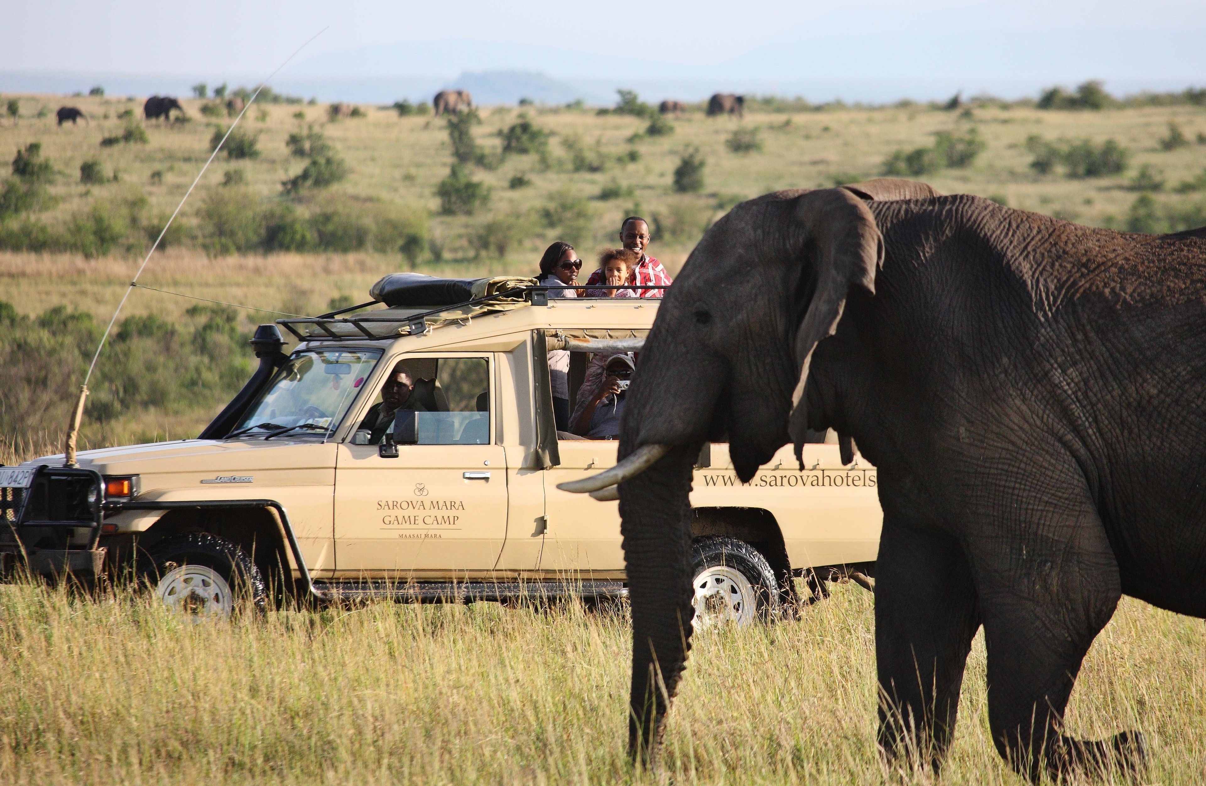 Een safariwagen met passagiers die dieren in het wild observeren.