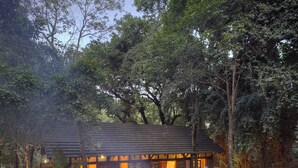 An outdoor seating area with a fire pit, tables, and chairs, surrounded by trees and a building with large windows.