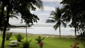 A grassy area with a view of the ocean, palm trees, and a white bench. - Hotel Club Del Mar (Jacó)