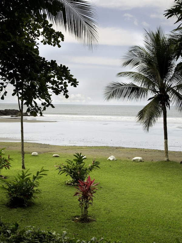 On the beach, sun loungers, beach umbrellas, beach towels