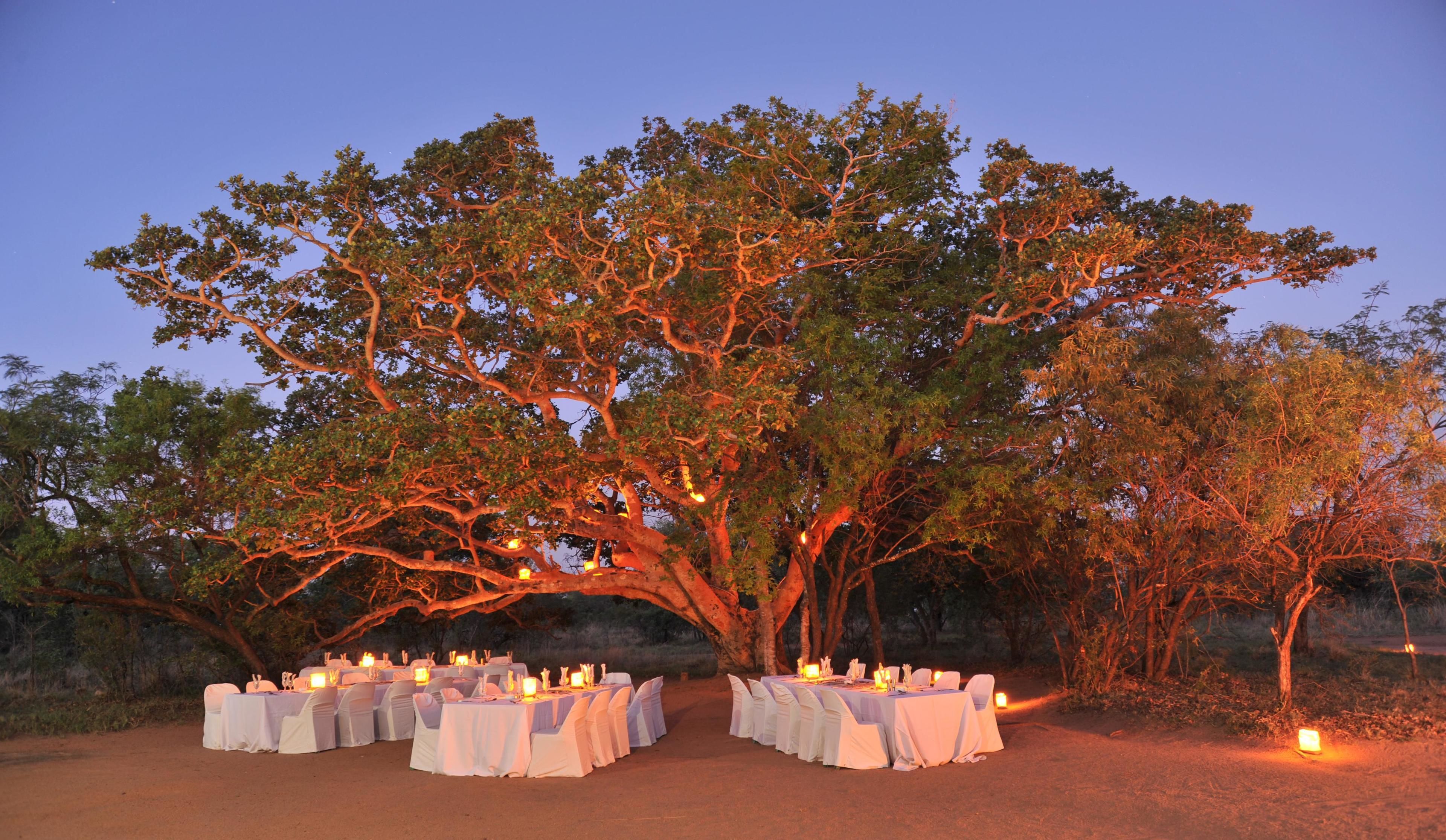 Outdoor banquet area