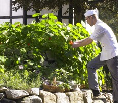 Um chefe de cozinha com uniforme branco cuidando de um jardim com diversas plantas e um muro de pedra.