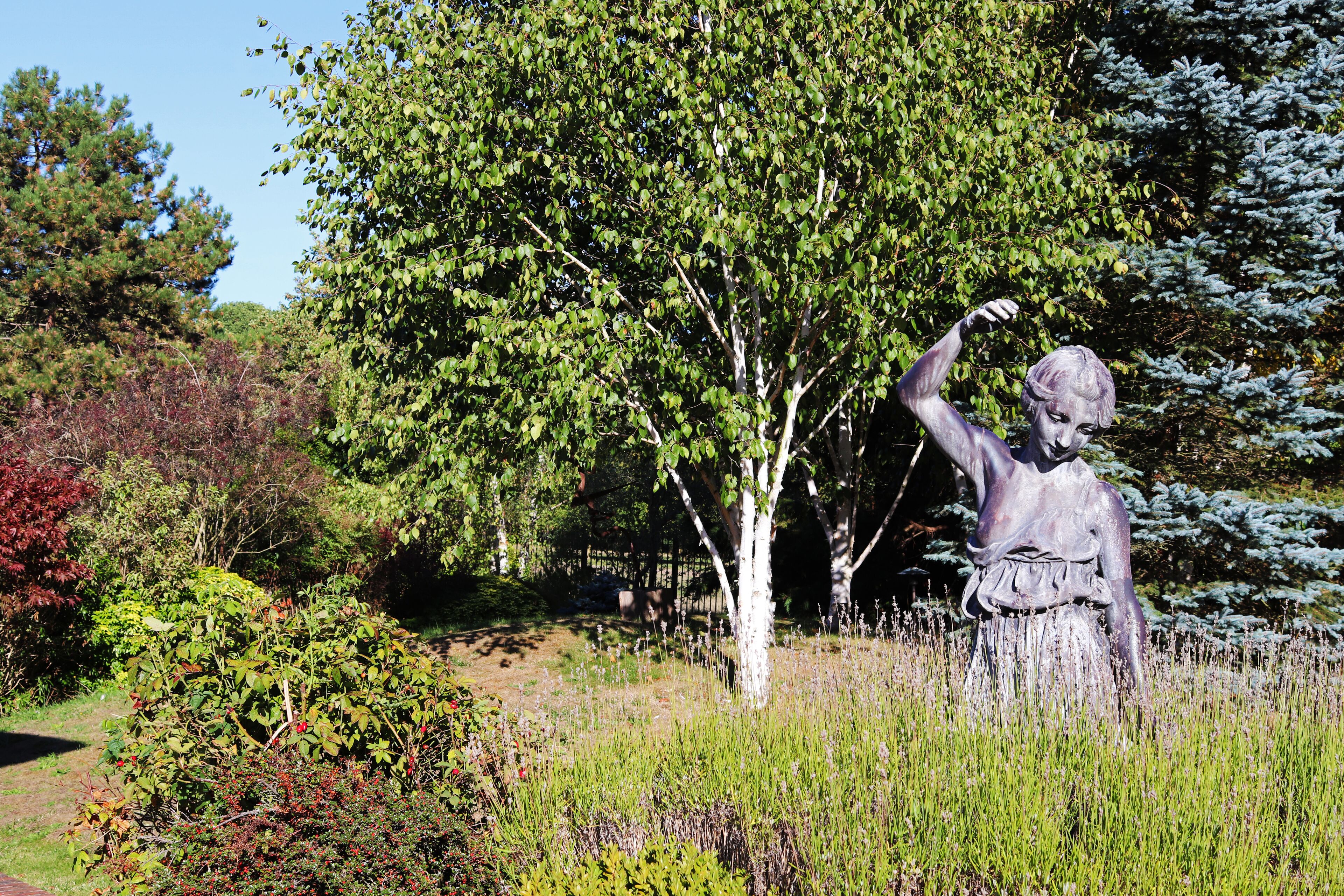 Foto - Fredrick's Hotel & Spa