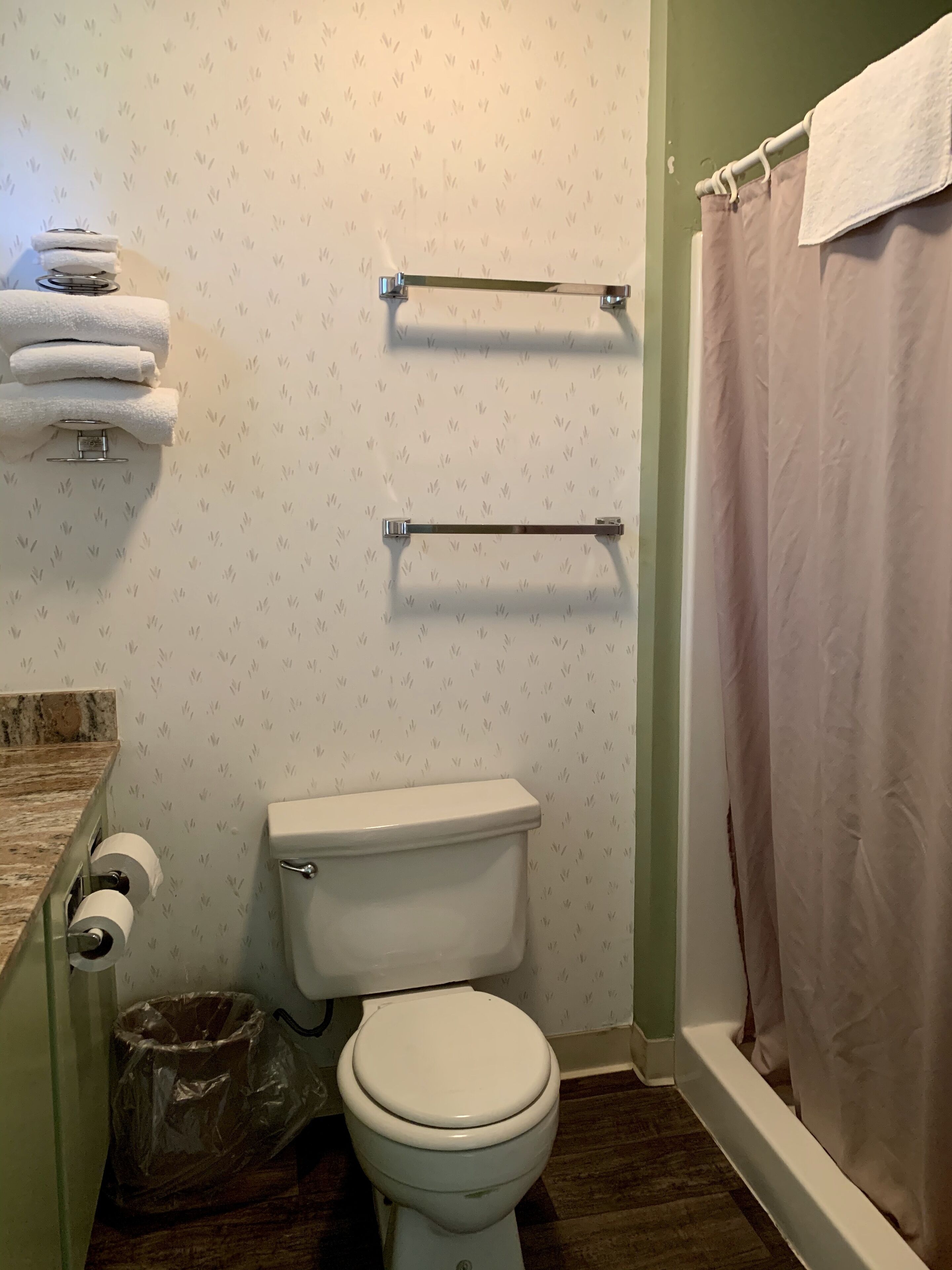 A bathroom with a toilet, a towel rack, and a shower curtain.