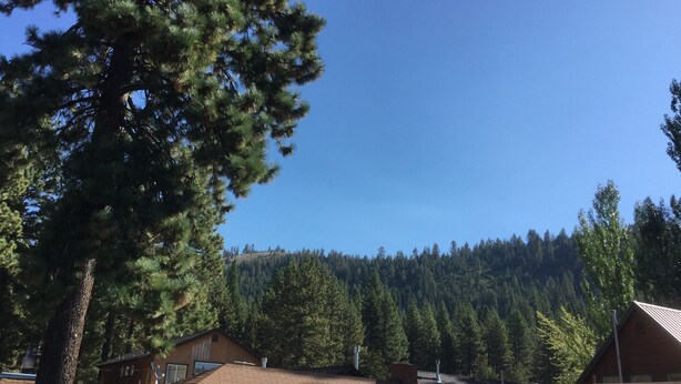 A cabin with a sloped roof, surrounded by dense forest and a mountain backdrop. - Stevenson's Inn (Kings Beach)