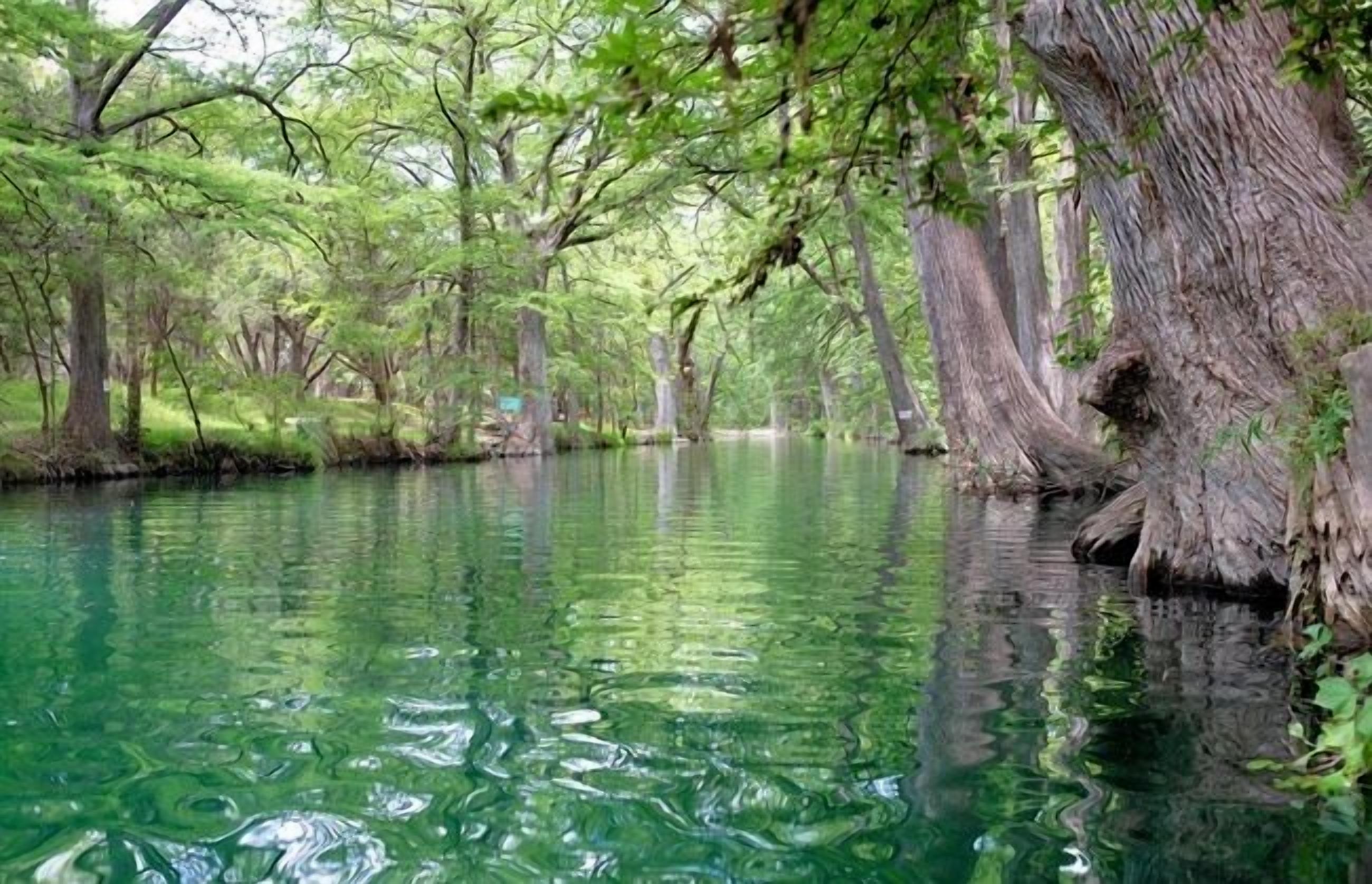 A serene water body surrounded by trees.
