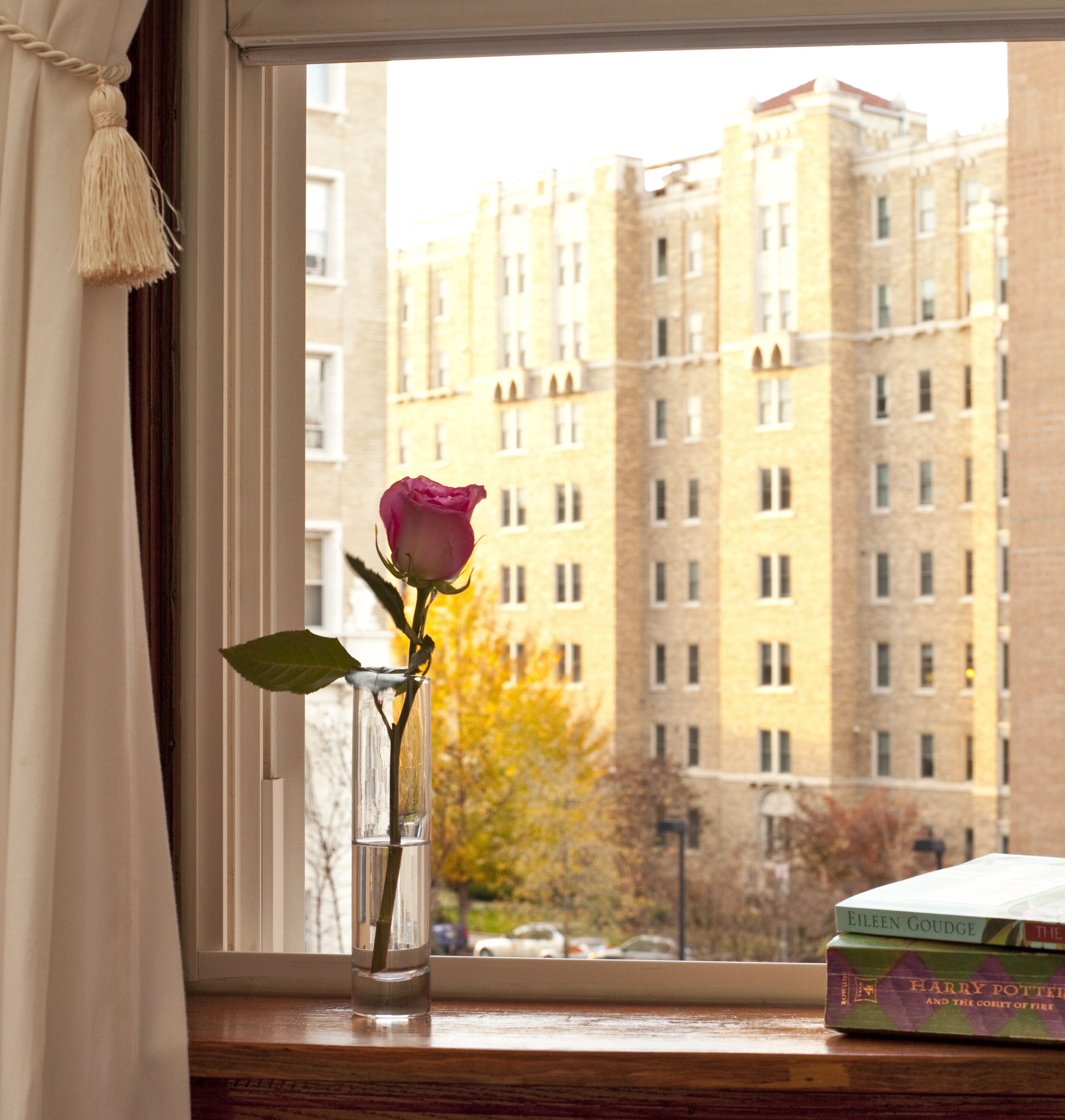 Photo - American Guest House, a Washington DC Bed and Breakfast