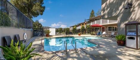 Piscine extérieure en saison, parasols, chaises longues