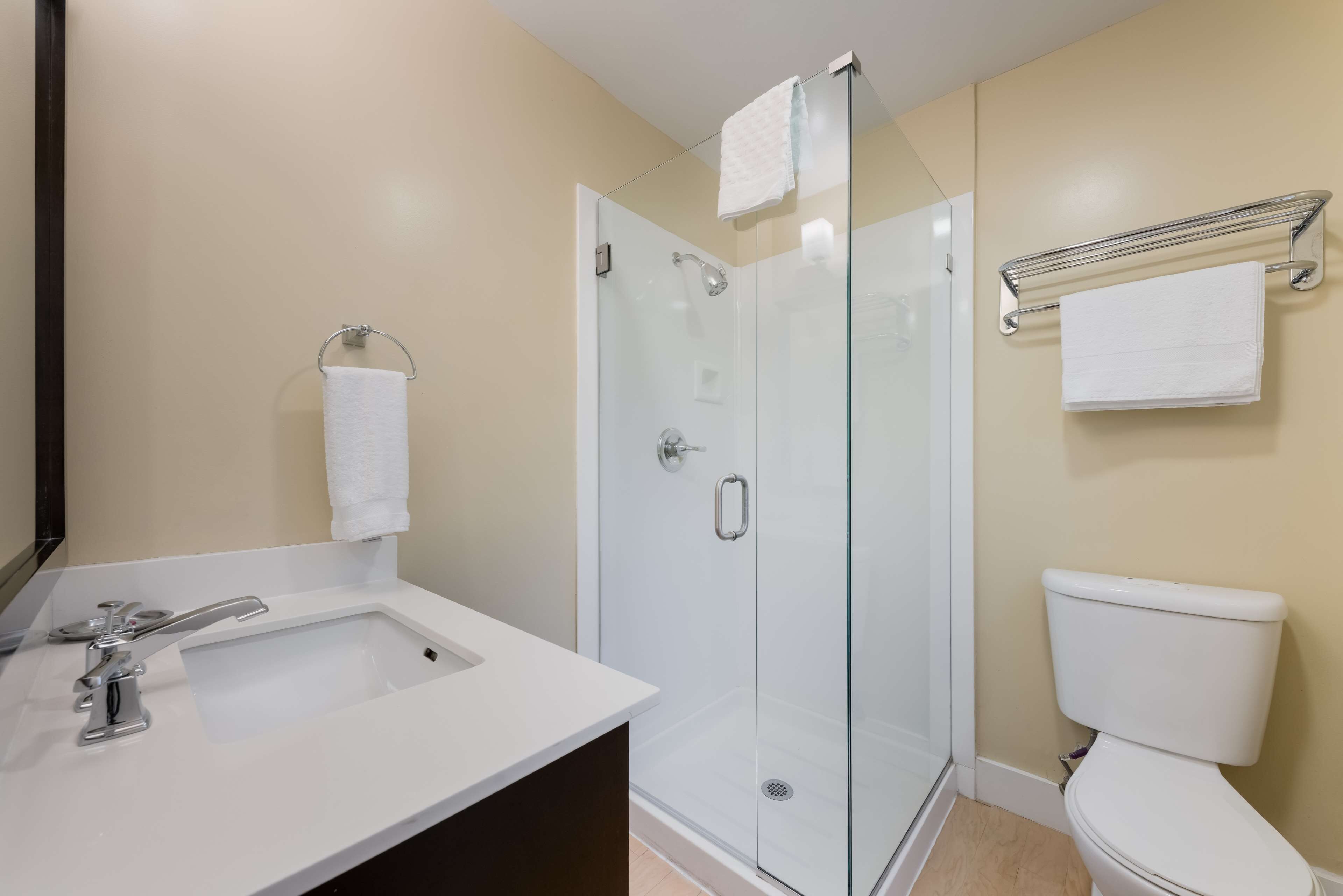 shower, eco-friendly toiletries, hair dryer, towels