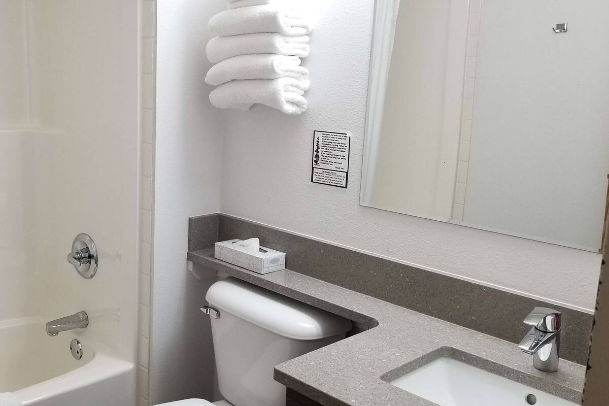 combined shower/bathtub, free toiletries, hair dryer, towels