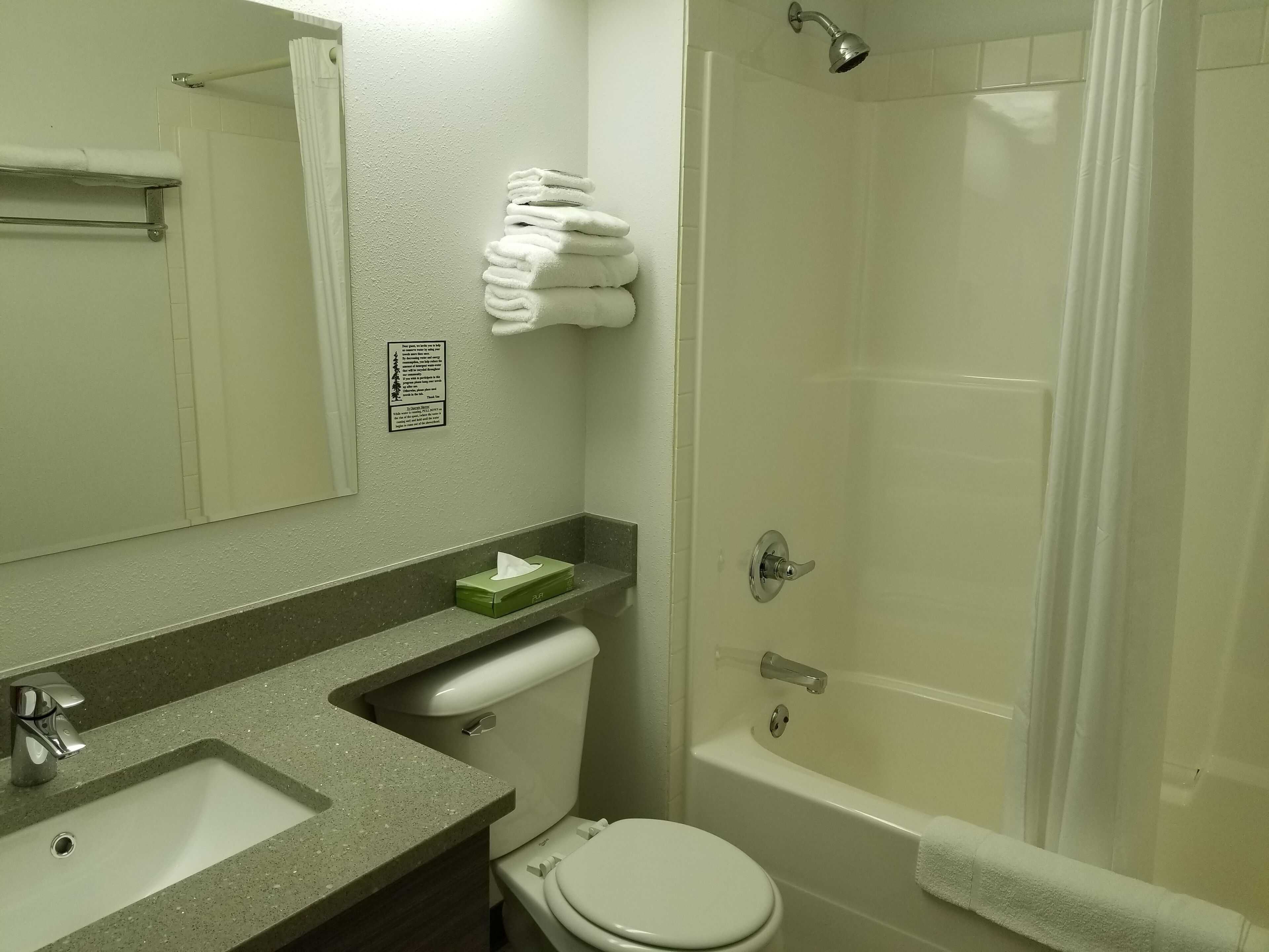 combined shower/bathtub, free toiletries, hair dryer, towels