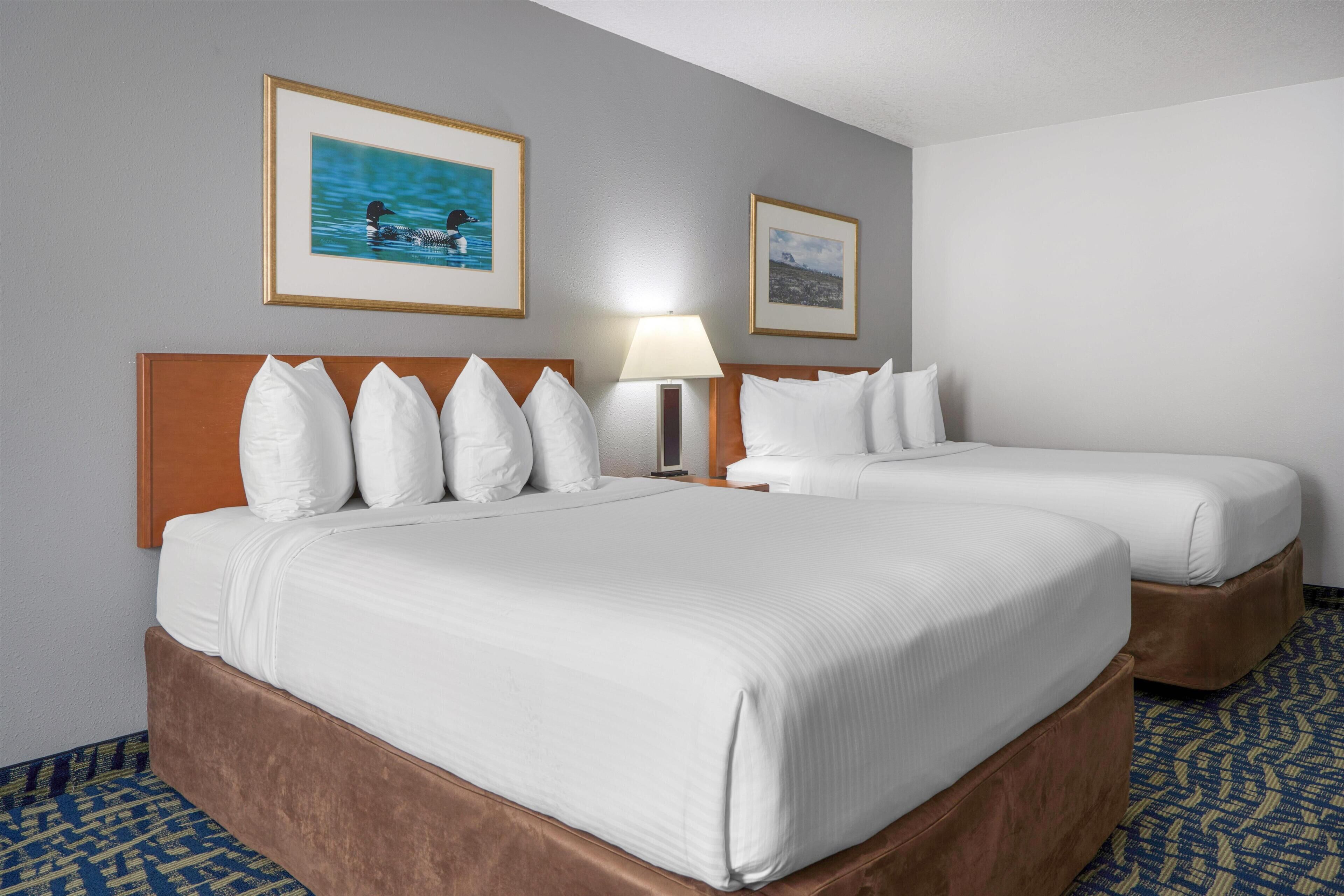 Individually furnished, desk, laptop workspace, blackout drapes