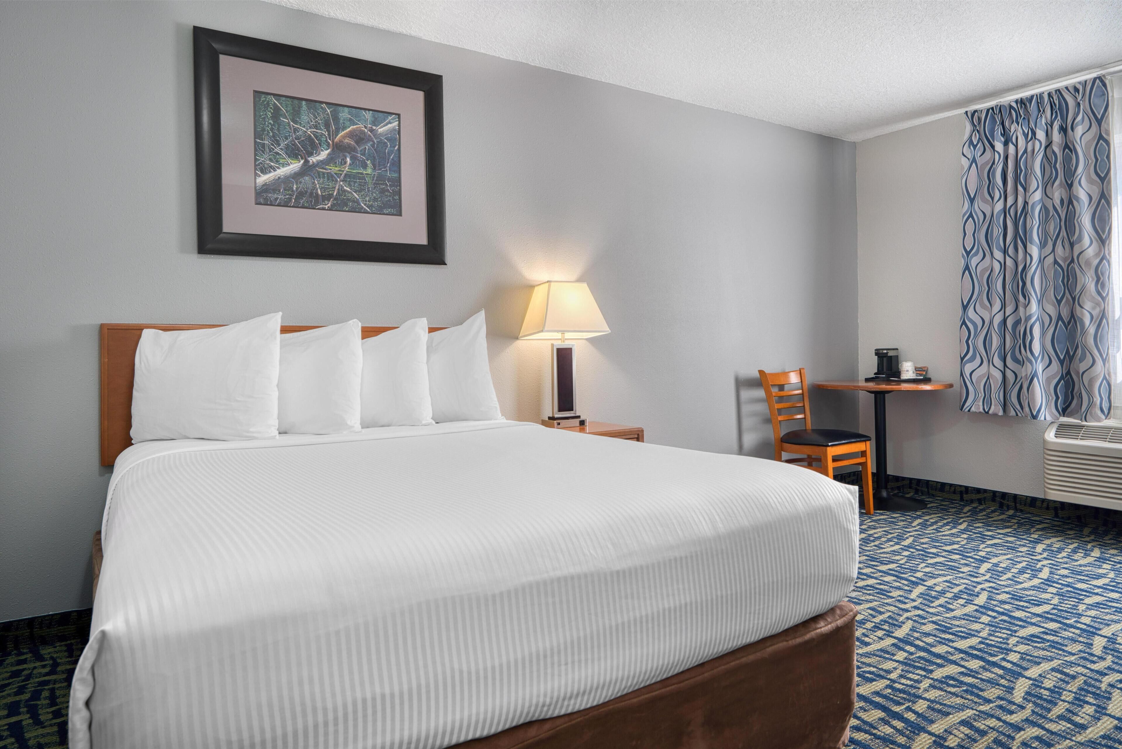 Habitación estándar, 1 cama de matrimonio, accesible para personas con discapacidad, no fumadores | Mobiliario individual, escritorio, espacio para trabajar con un portátil