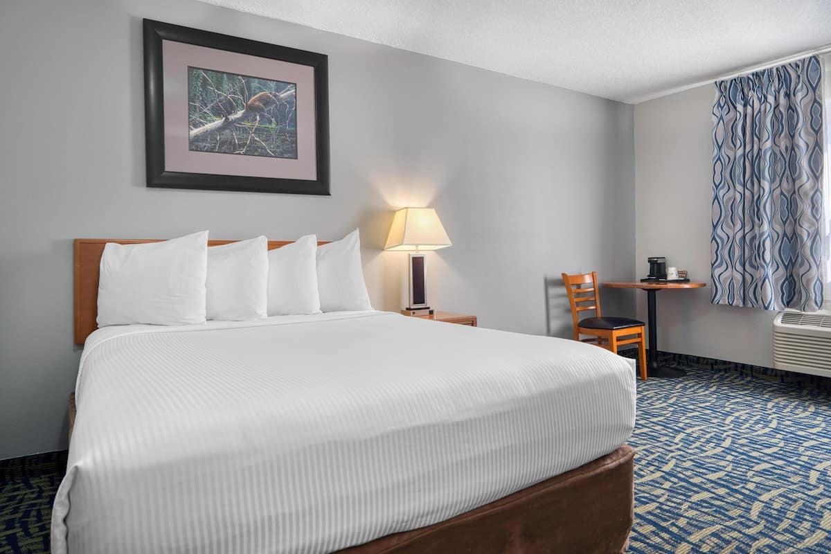 A hotel room with a large bed, a framed picture on the wall, a lamp, a chair, and a patterned carpet.