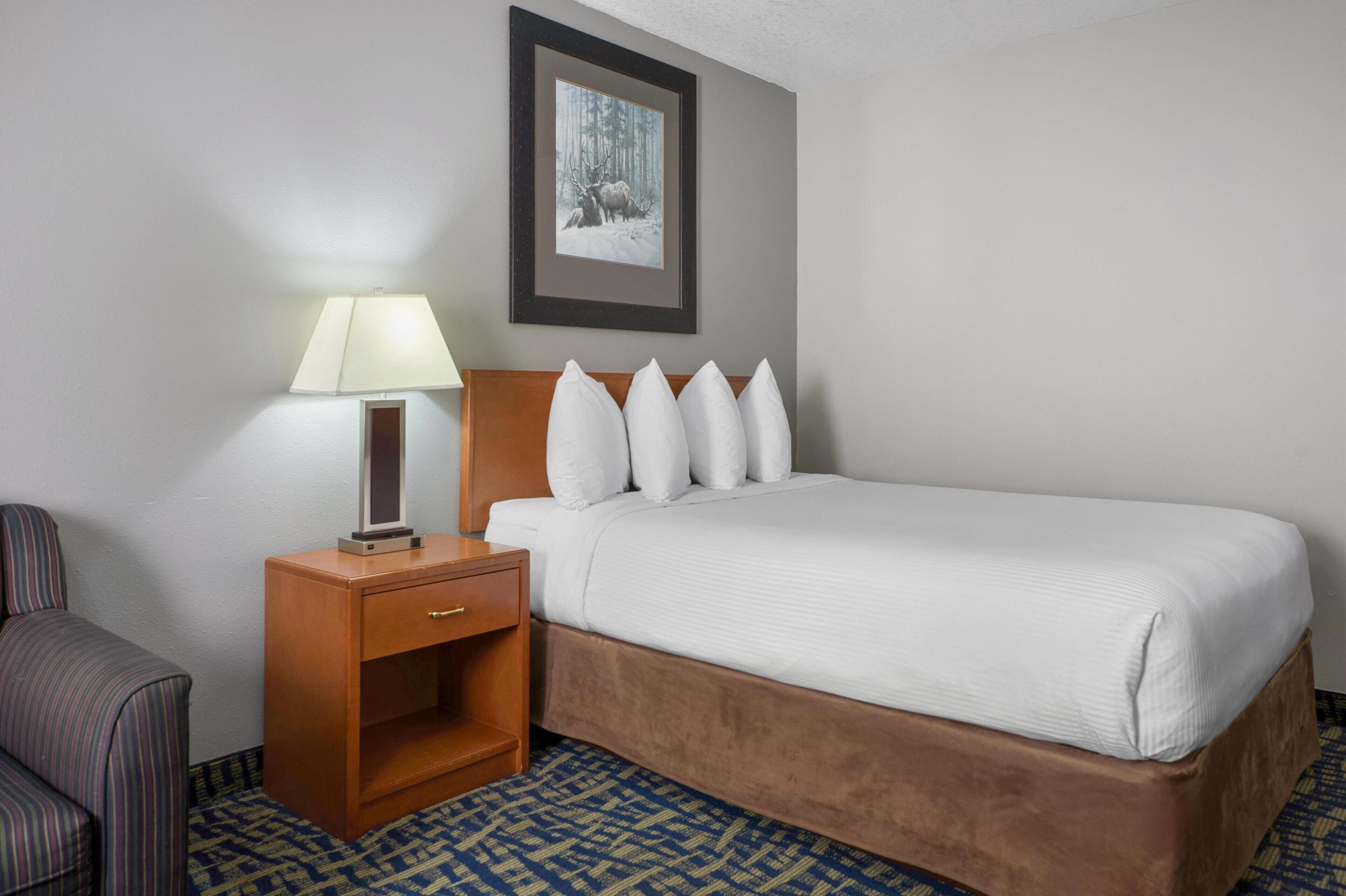 A hotel room with a bed, a nightstand with a lamp, a framed picture on the wall, and a patterned carpet.