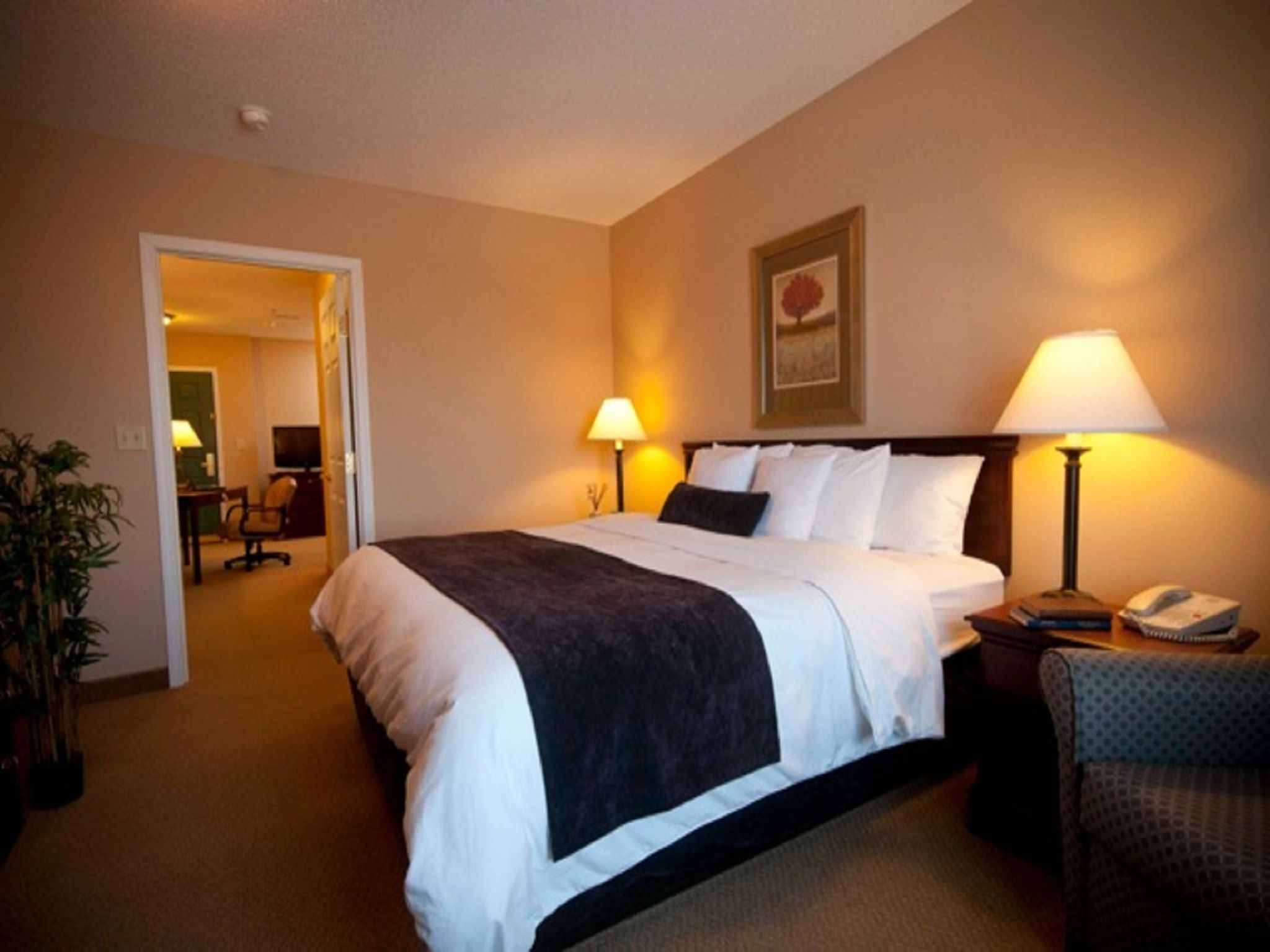 executive suite, 1 king bed, non smoking | desk, blackout curtains, iron/ironing board, free wifi