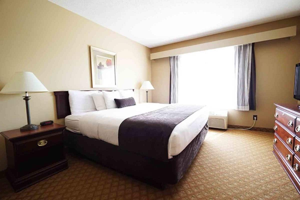 Studio Suite, 1 King Bed, Non Smoking | Desk, blackout drapes, iron/ironing board, free WiFi