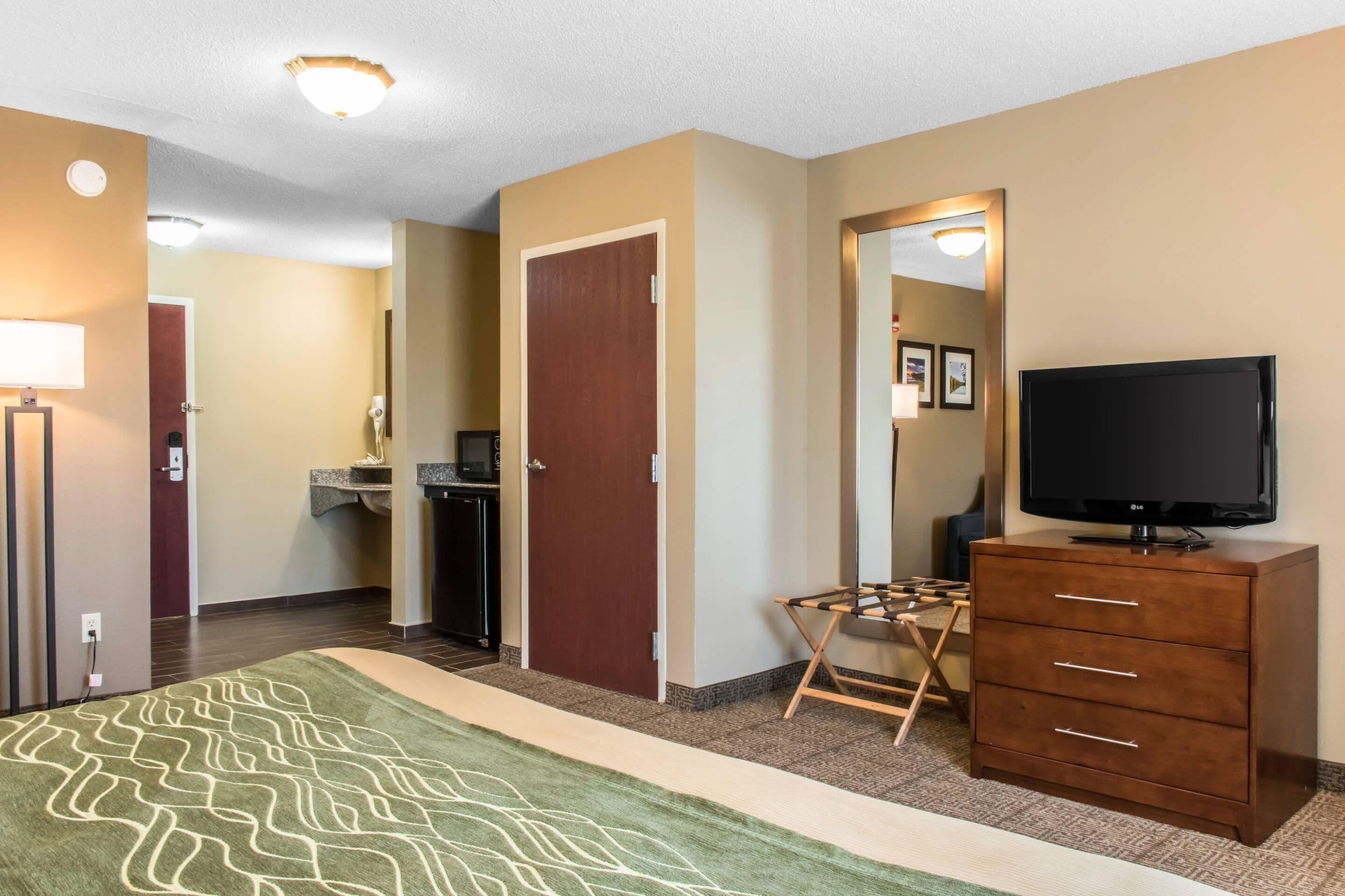 Habitación de hotel con alfombra verde estampada, cómoda de madera con cajones, televisor, espejo y puerta que da al baño.
