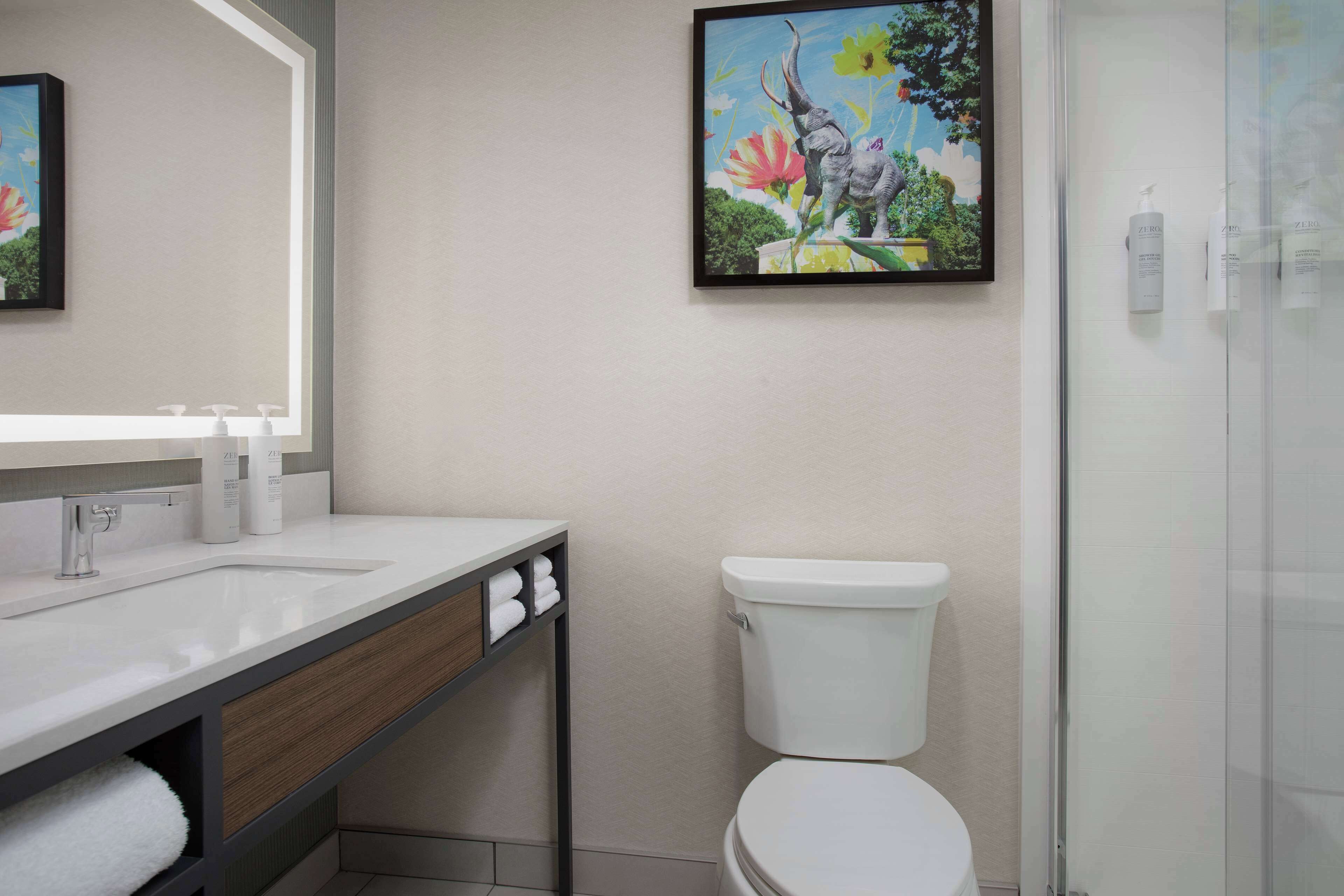 rainfall showerhead, free toiletries, hair dryer, towels