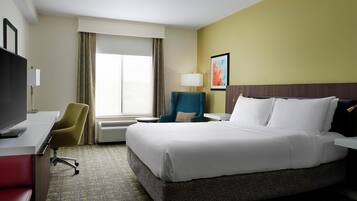 One king bed evolution room