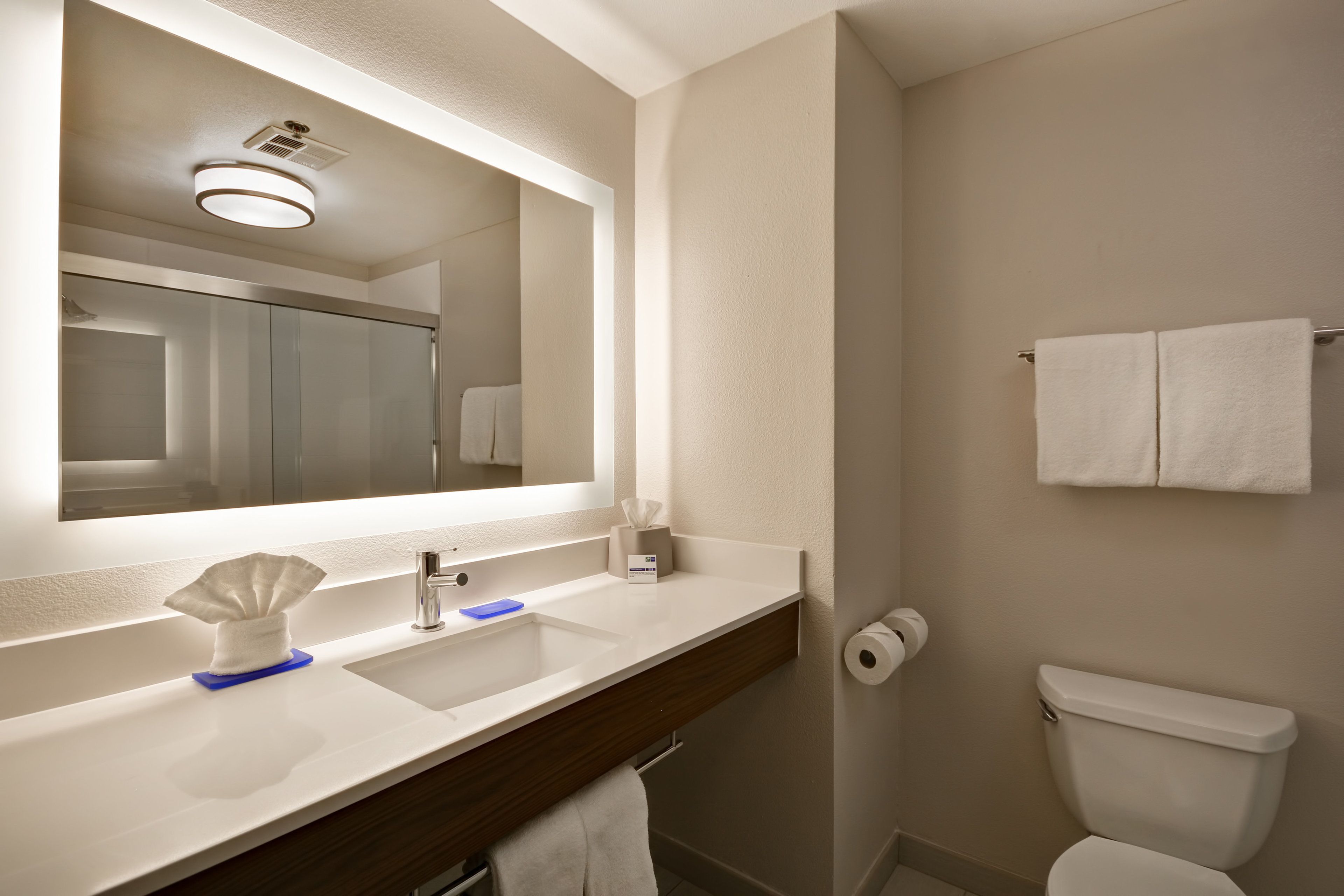 combined shower/bathtub, free toiletries, hair dryer, towels