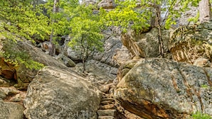 Un sendero pedregoso con grandes rocas y árboles.