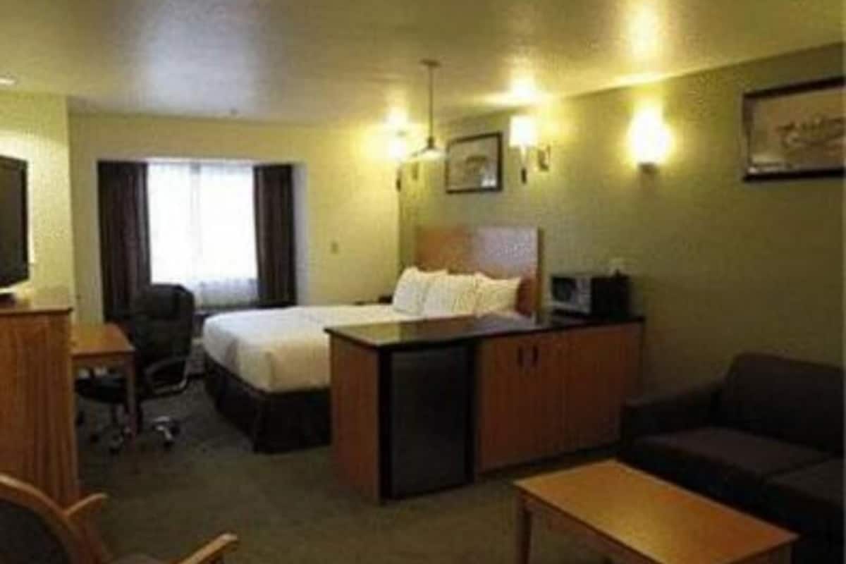 Premium bedding, pillow-top beds, in-room safe, desk