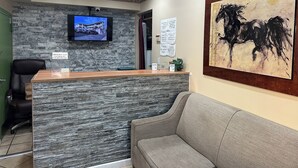 Una zona de recepción con pared de piedra, televisor montado, un cuadro y mostrador de recepción.