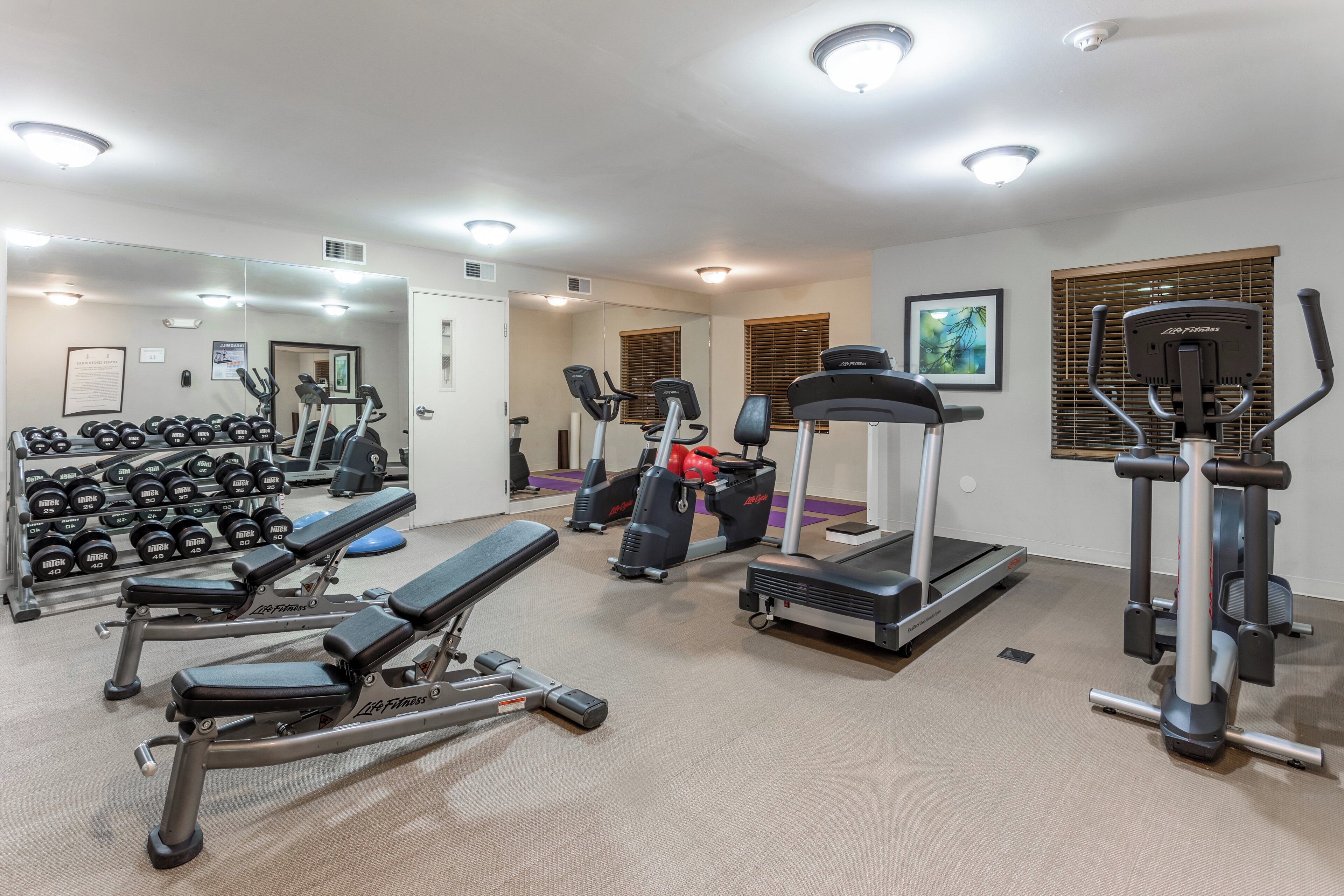 A gym with various exercise equipment, including treadmills, weight machines, and dumbbells.