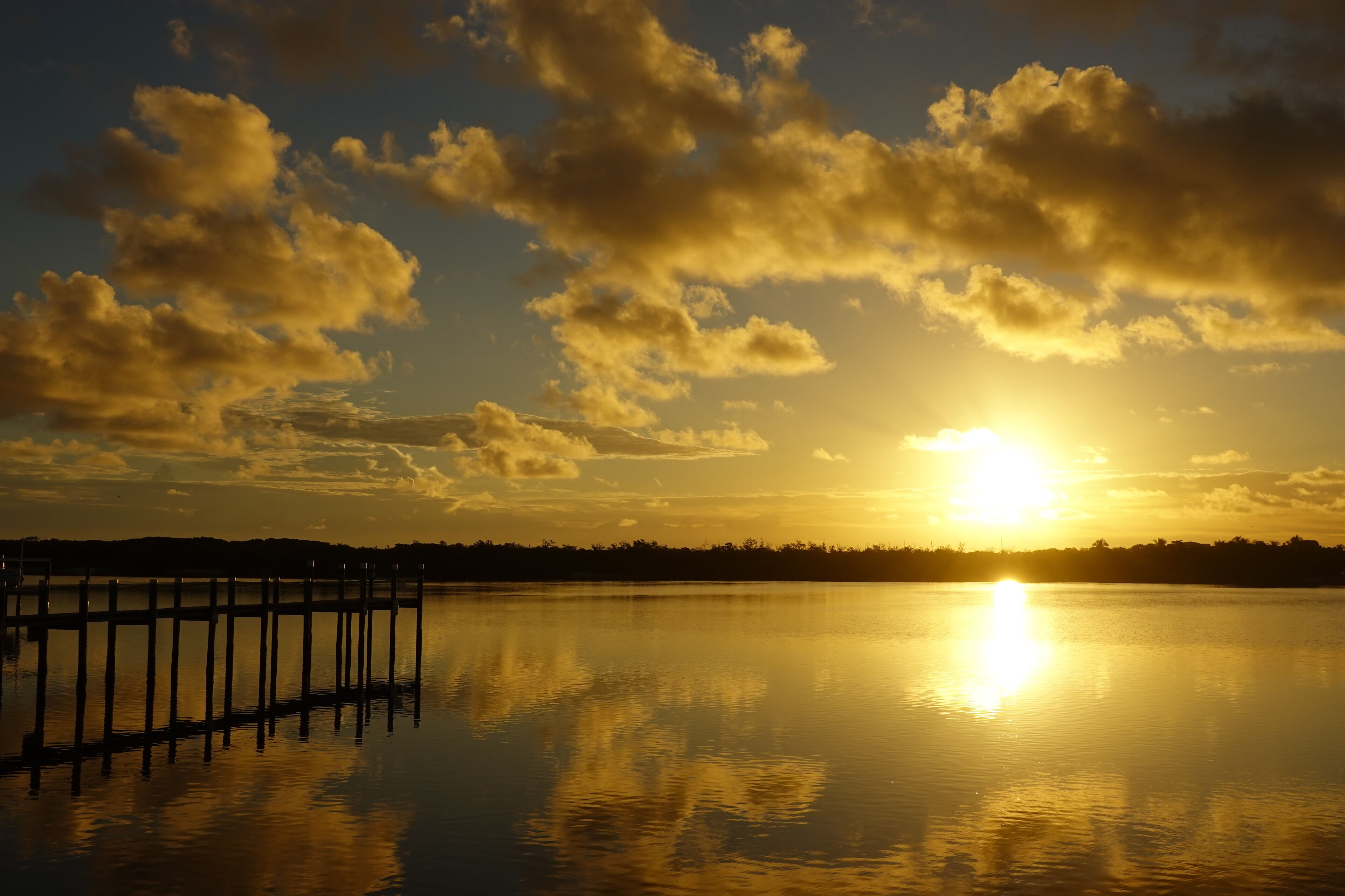 A calm lake with a wooden pier extending into the water, surrounded by a forested shoreline.