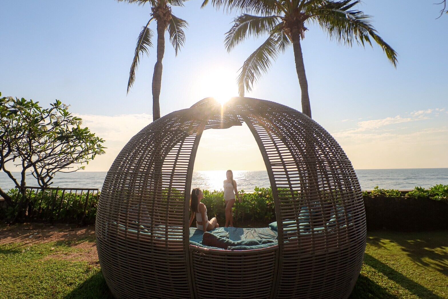 A spherical wicker chair with a view of the ocean and palm trees.