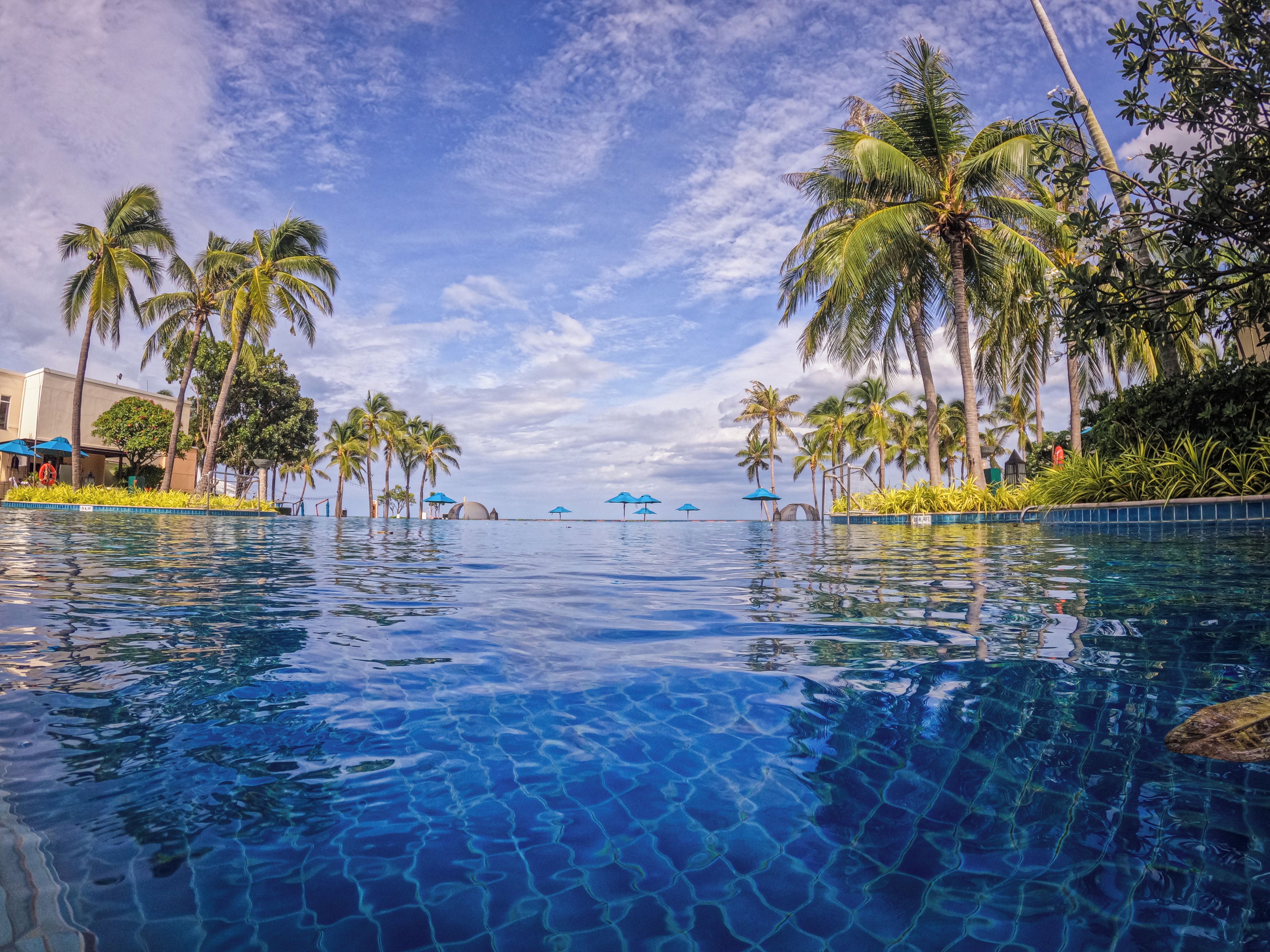 A clear swimming pool with palm trees and umbrellas around it.