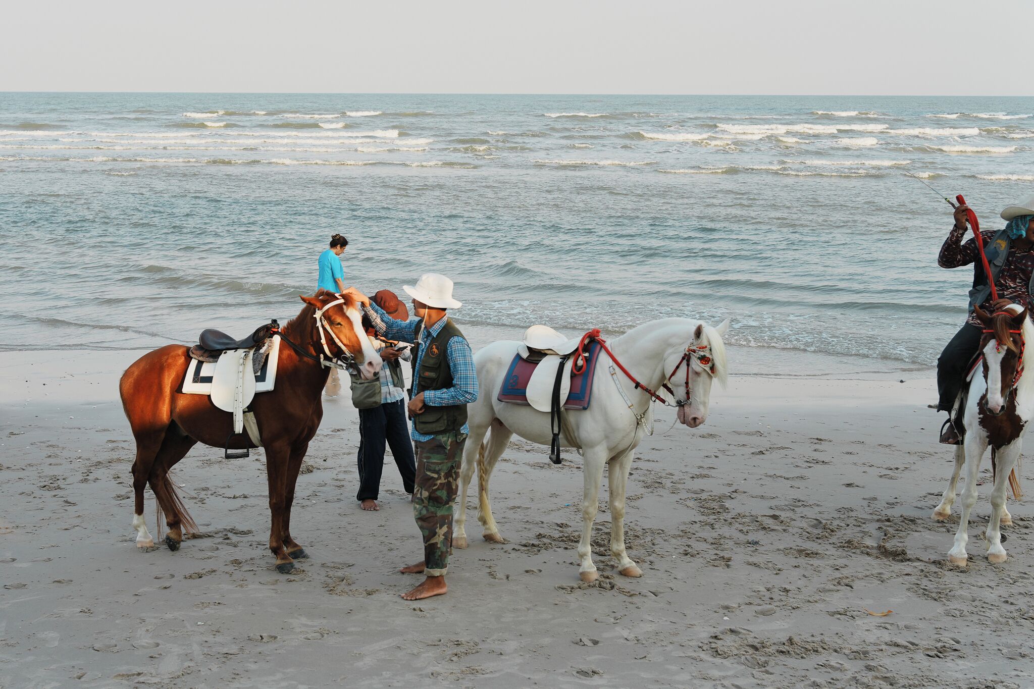 Une scène de plage avec des personnes et des chevaux.