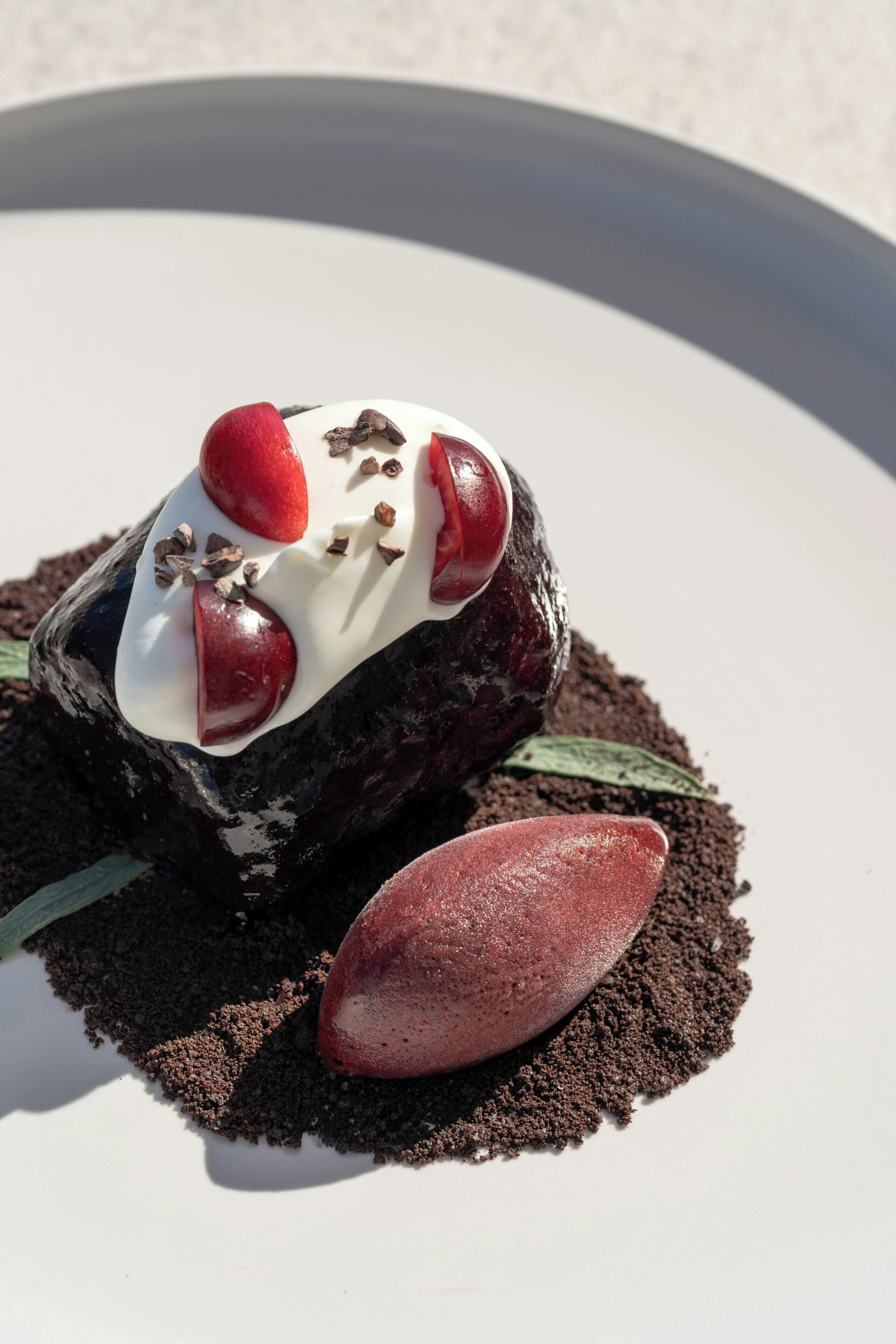 A dessert on a plate with a dark base, white topping, and red fruit pieces.